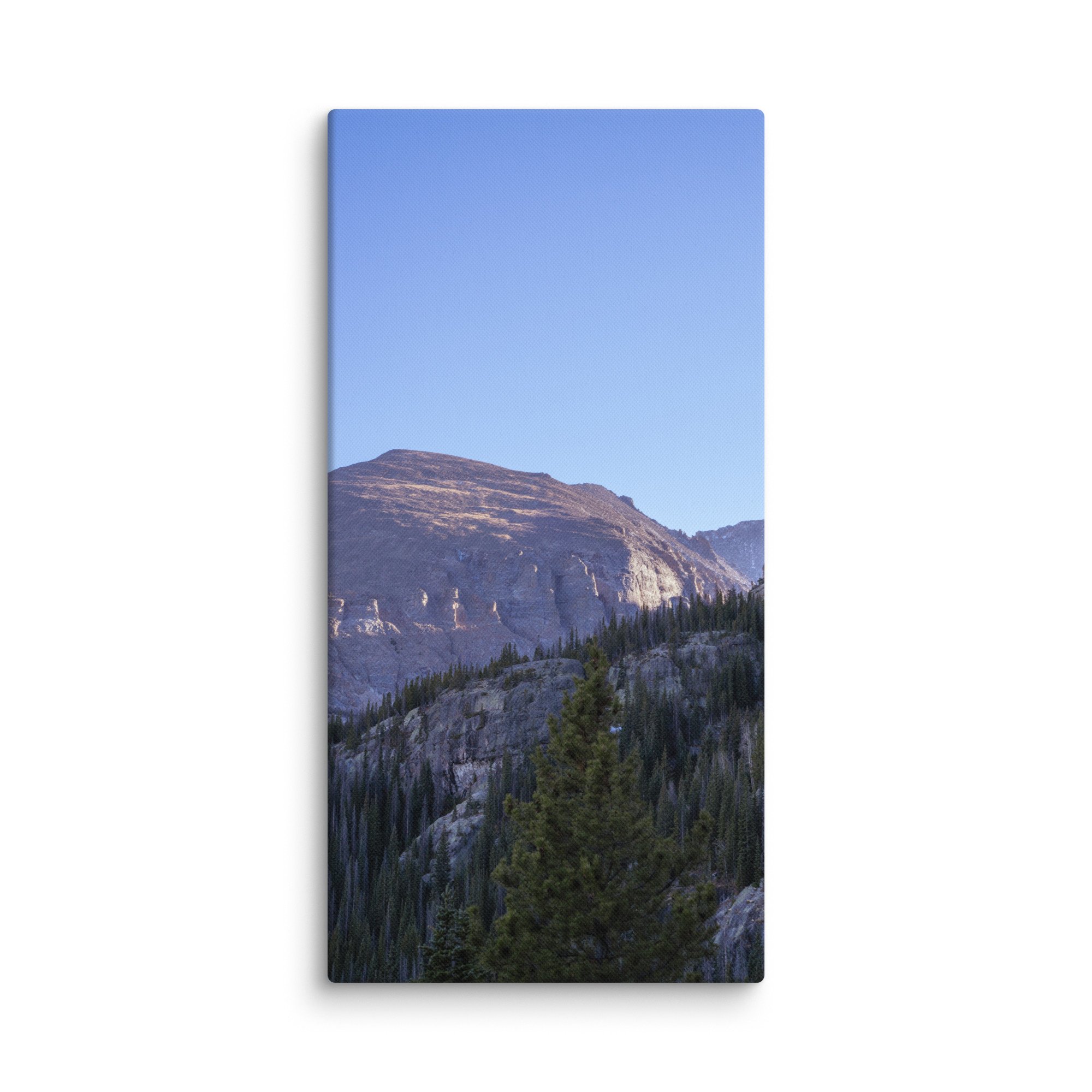 canvas-(in)-24x48-wall-6786bab8b2739.jpg