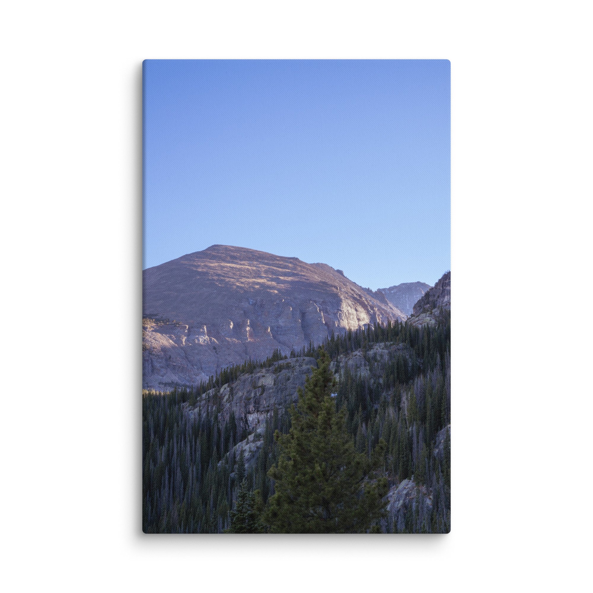 canvas-(in)-26x40-wall-6786bab8b281a.jpg