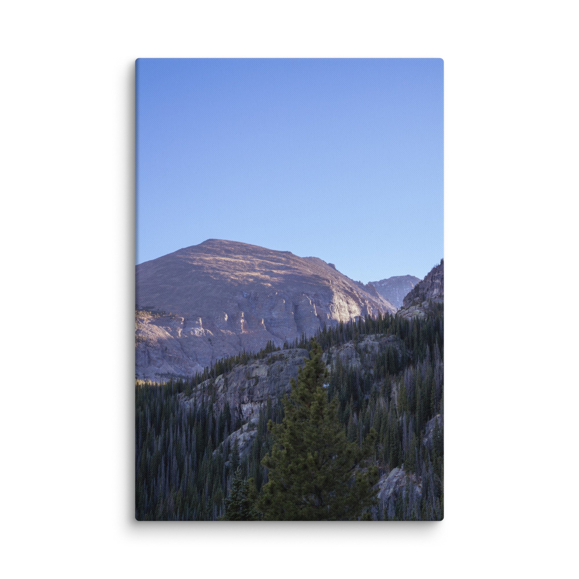 canvas-(in)-40x60-wall-6786bab8b2d15.jpg