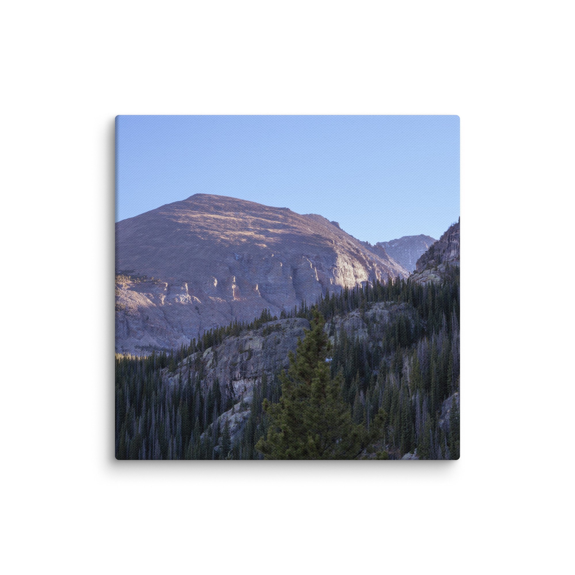canvas-(in)-6x6-wall-6786bab8b2d90.jpg