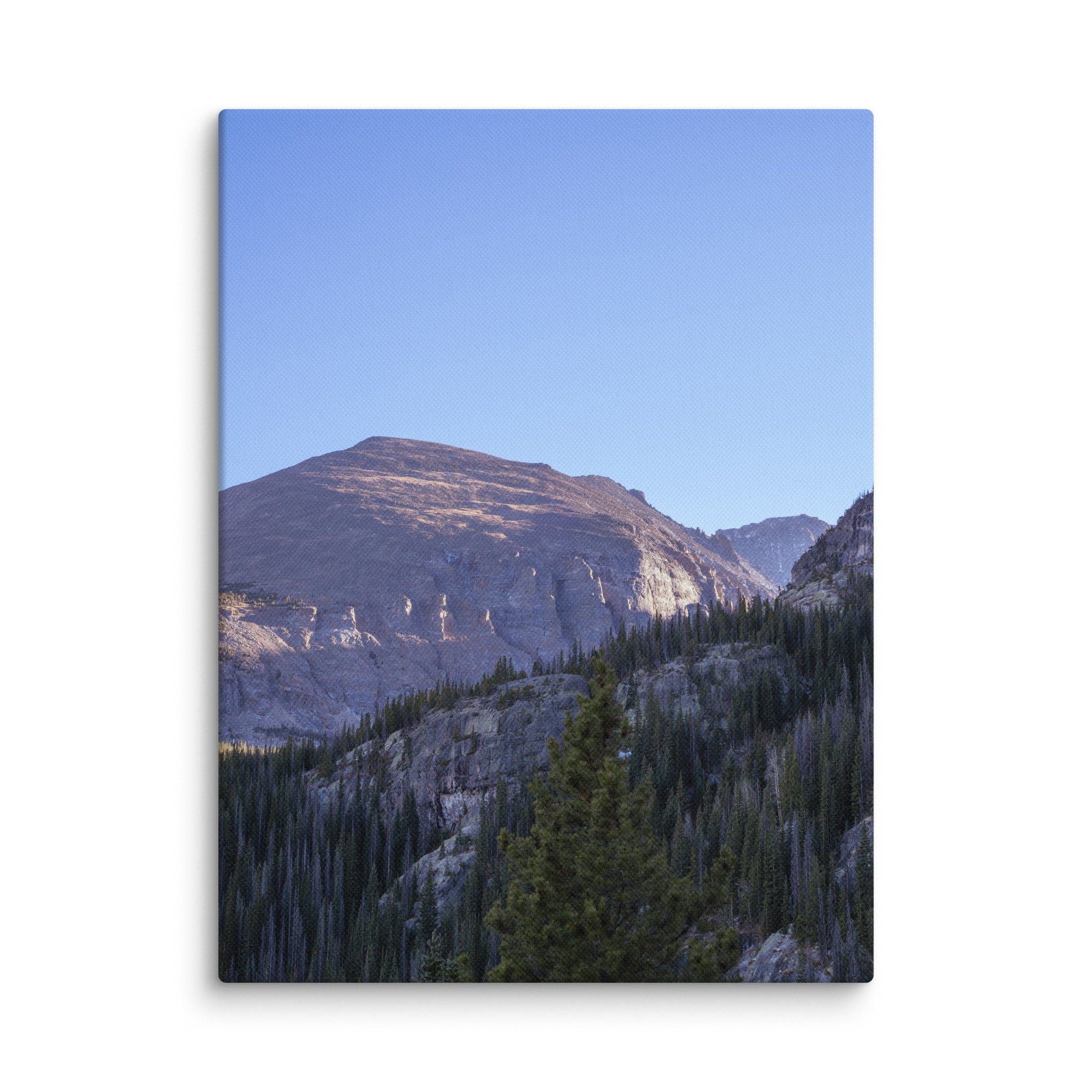 canvas-(in)-9x12-wall-6786bab8b2f8a.jpg