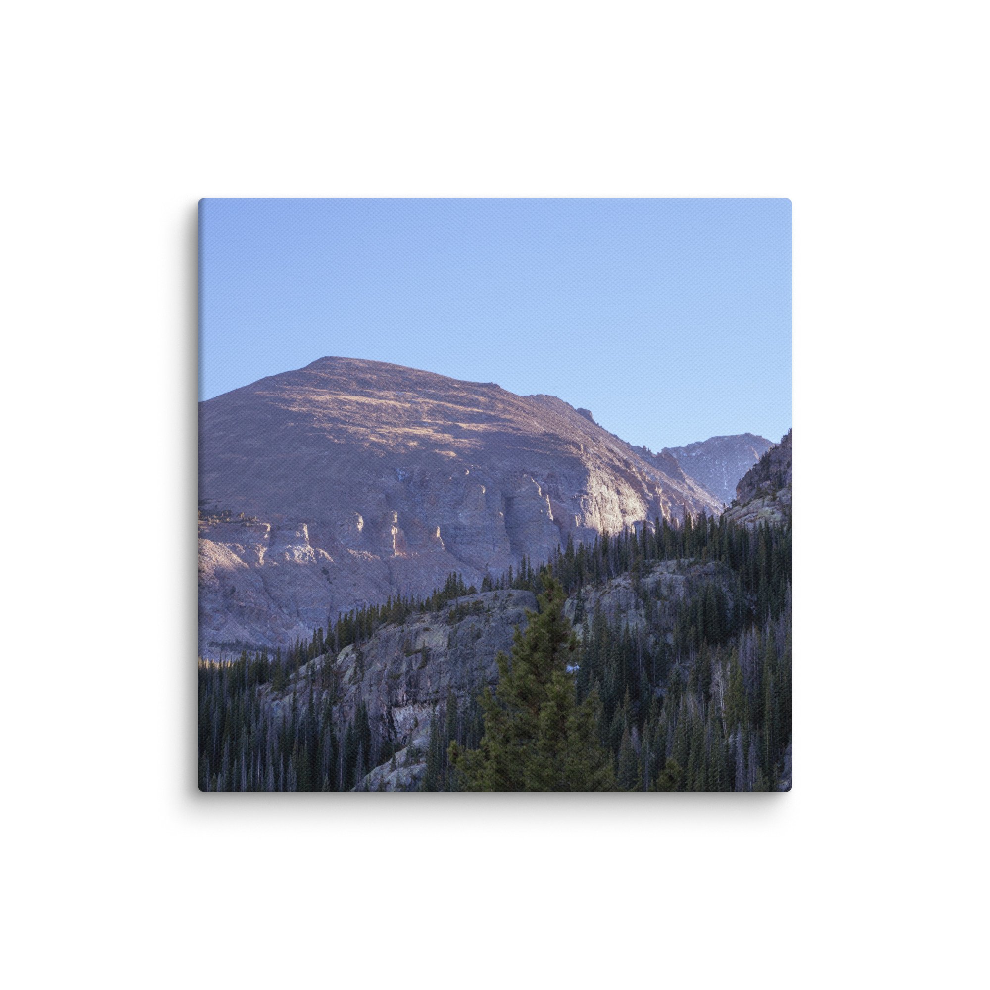 canvas-(in)-12x12-wall-6786bab8b3007.jpg