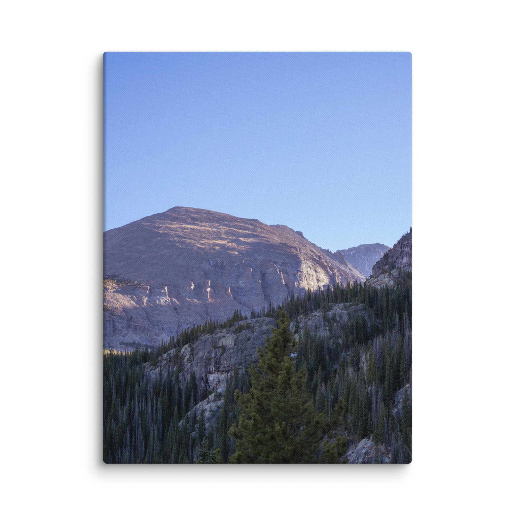 canvas-(in)-12x16-wall-6786bab8b30e0.jpg