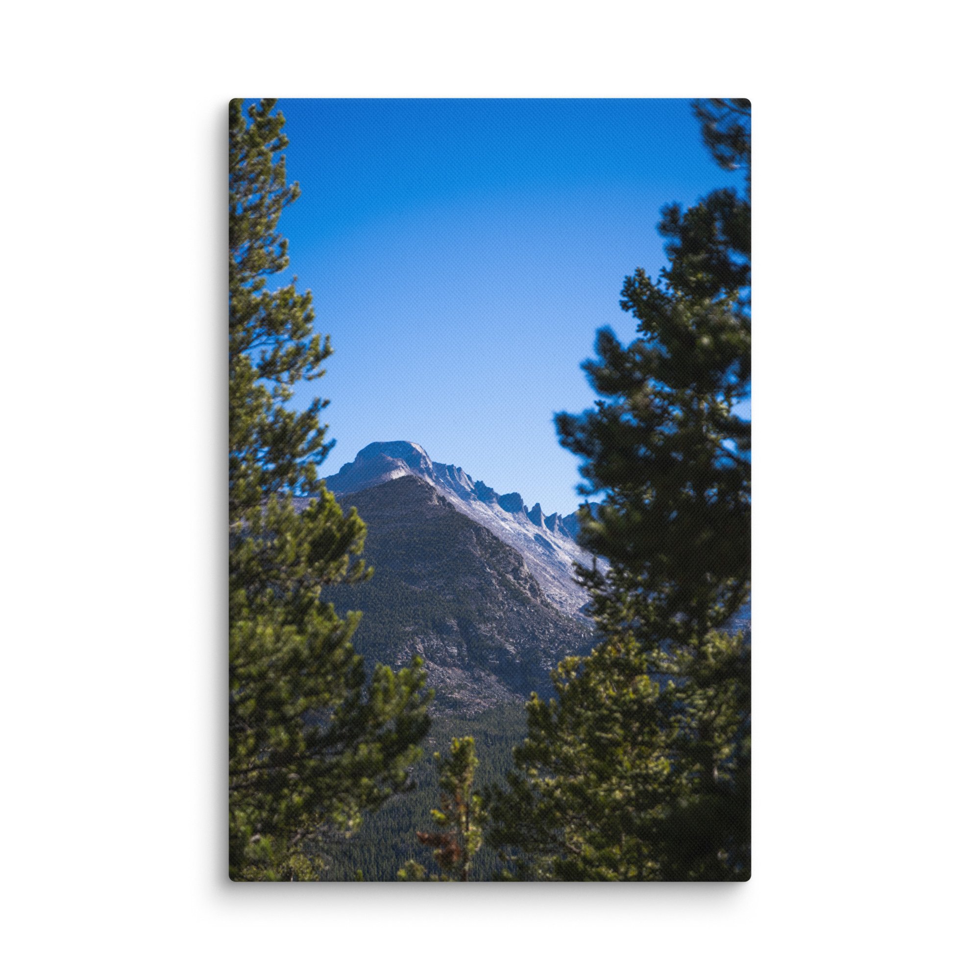 canvas-(in)-12x18-wall-6786c45cd2c2e.jpg