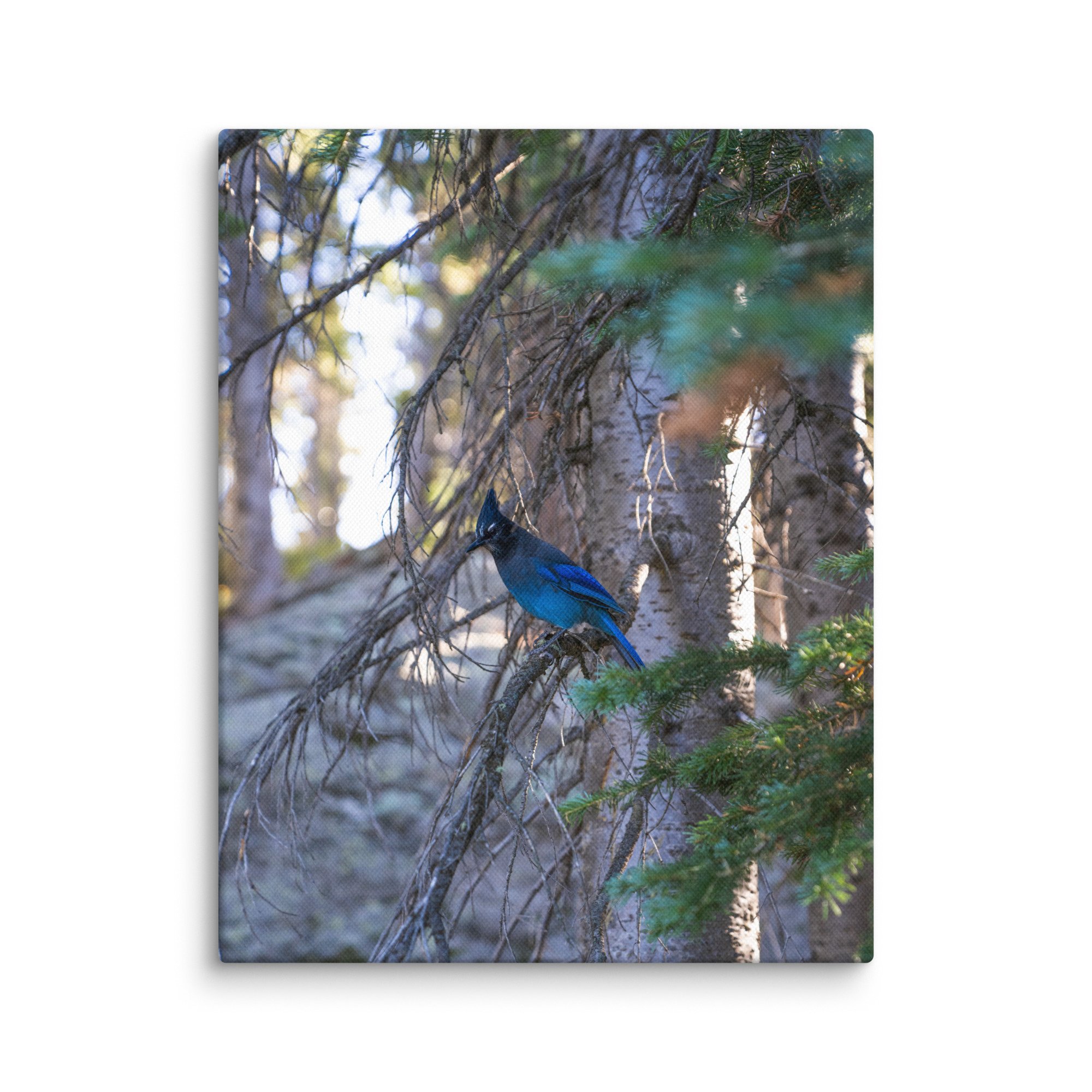 canvas-(in)-11x14-wall-6786c58d0b855.jpg