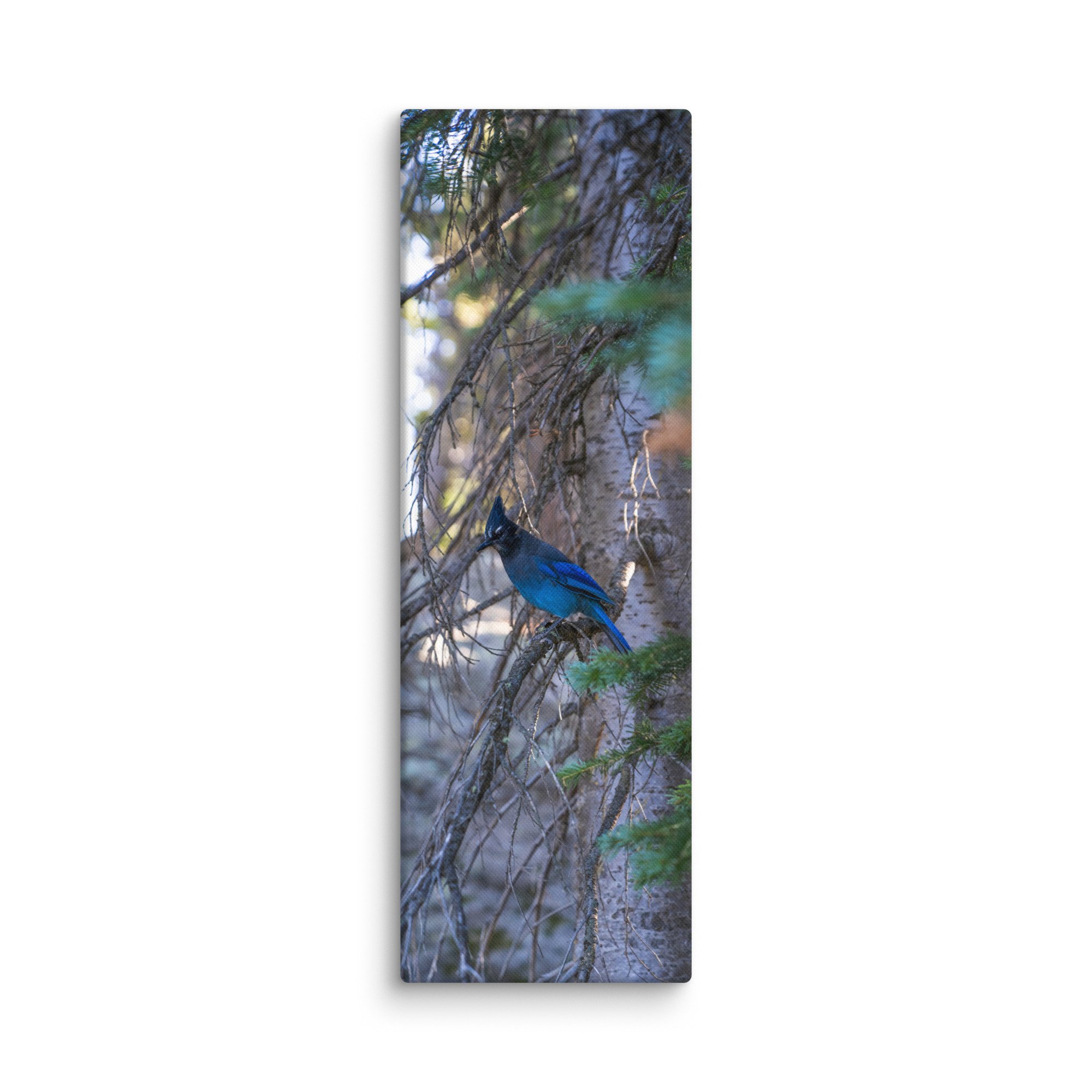 canvas-(in)-12x36-wall-6786c58d0ba2d.jpg