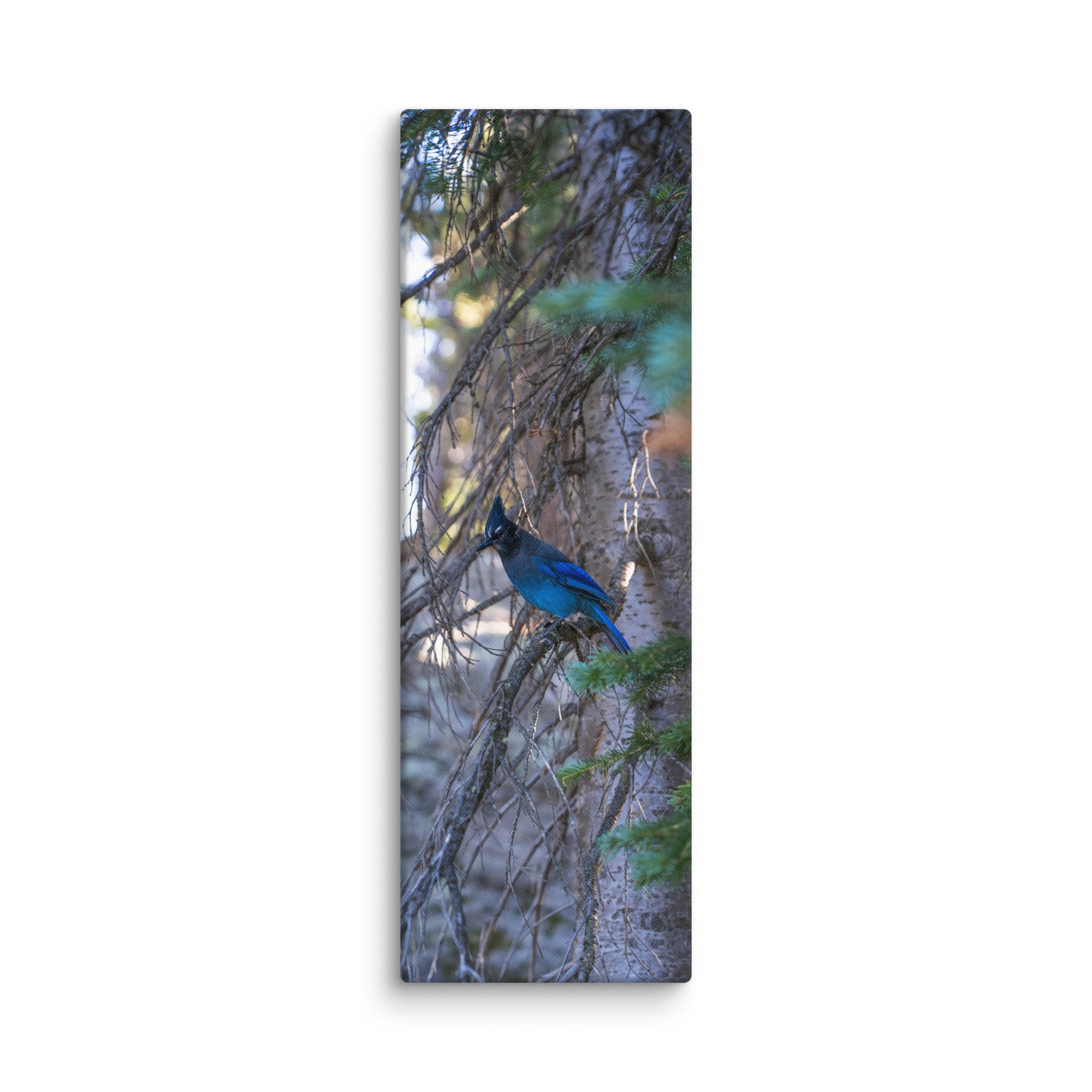 canvas-(in)-20x60-wall-6786c58d0c0d8.jpg