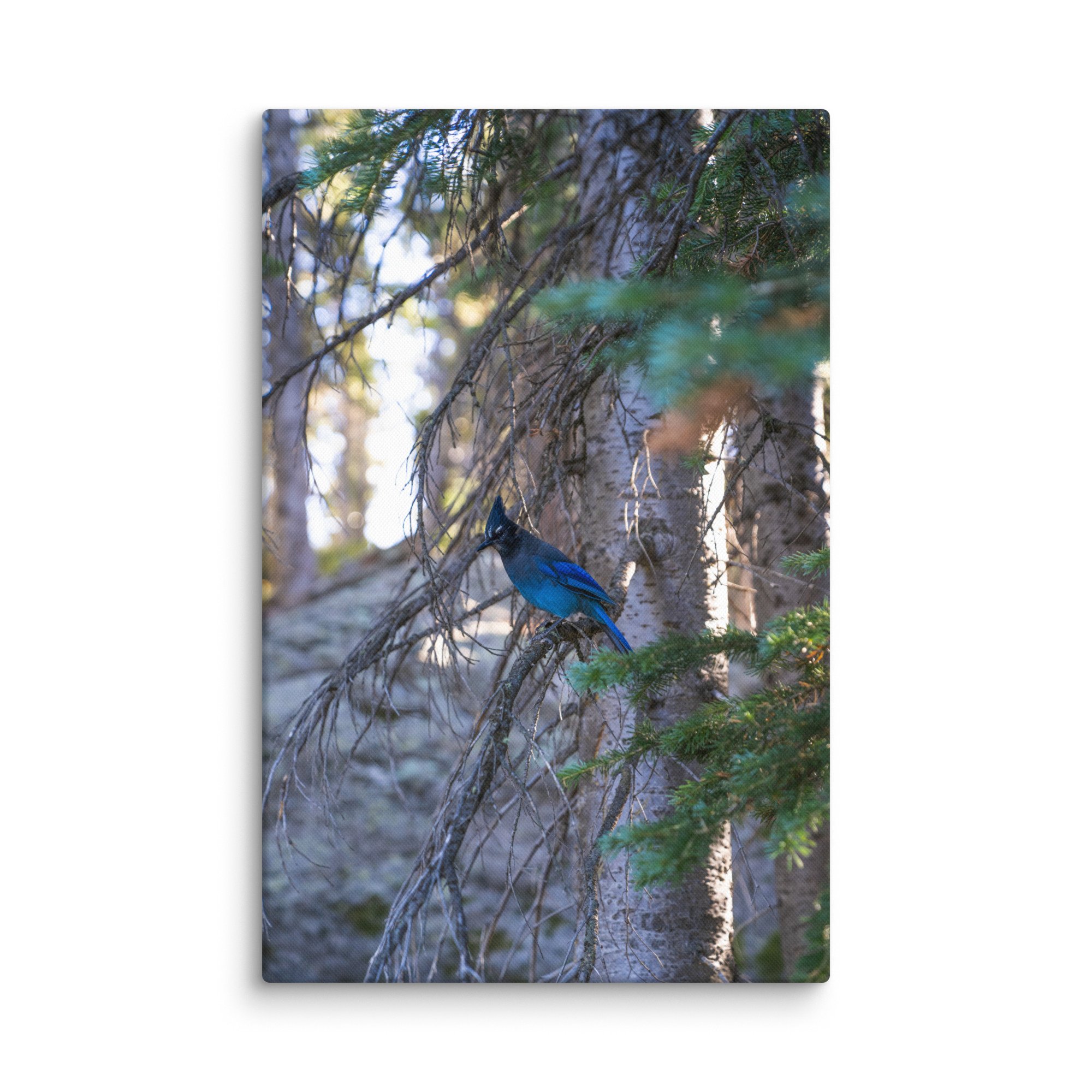 canvas-(in)-26x40-wall-6786c58d0c426.jpg