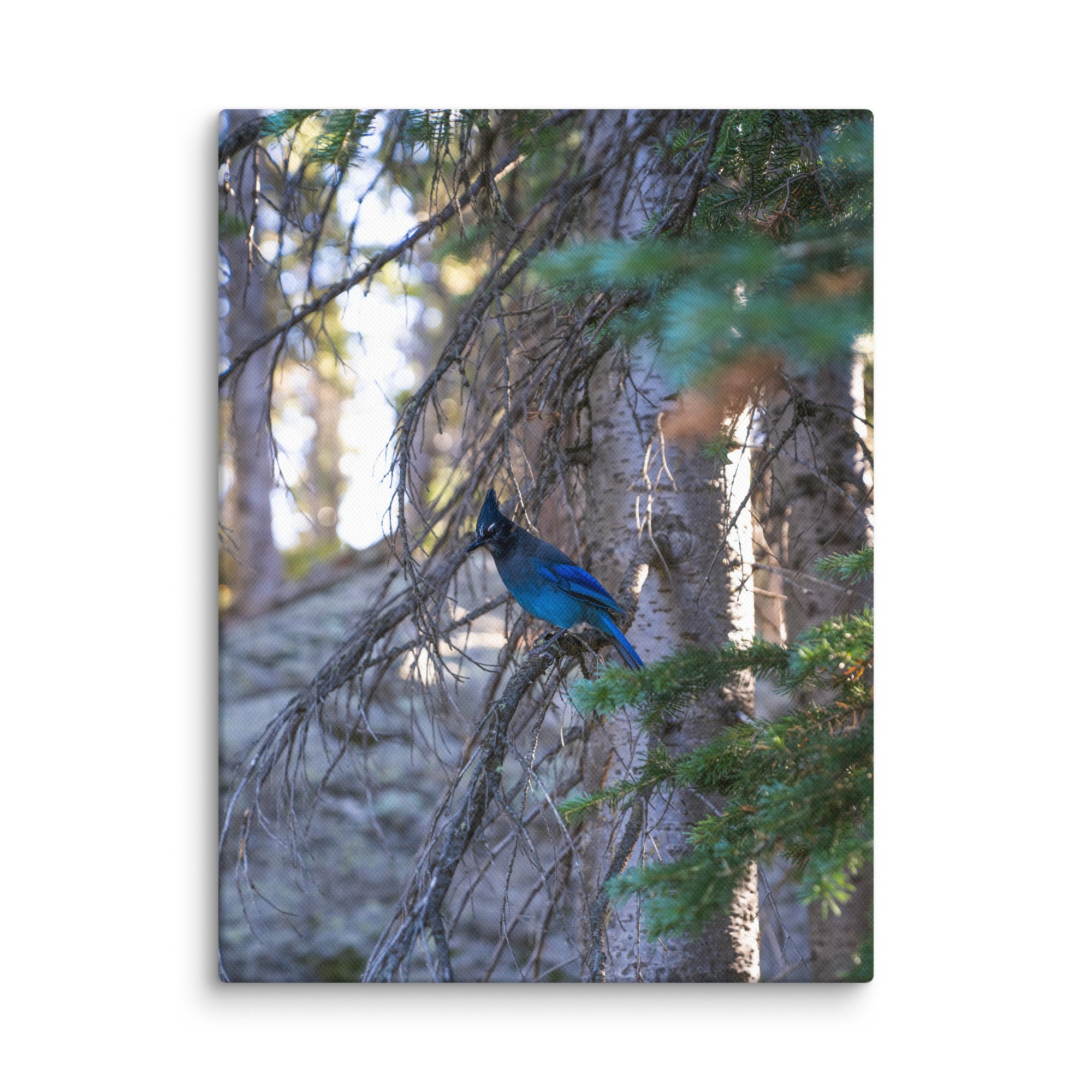 canvas-(in)-9x12-wall-6786c58d0cca8.jpg