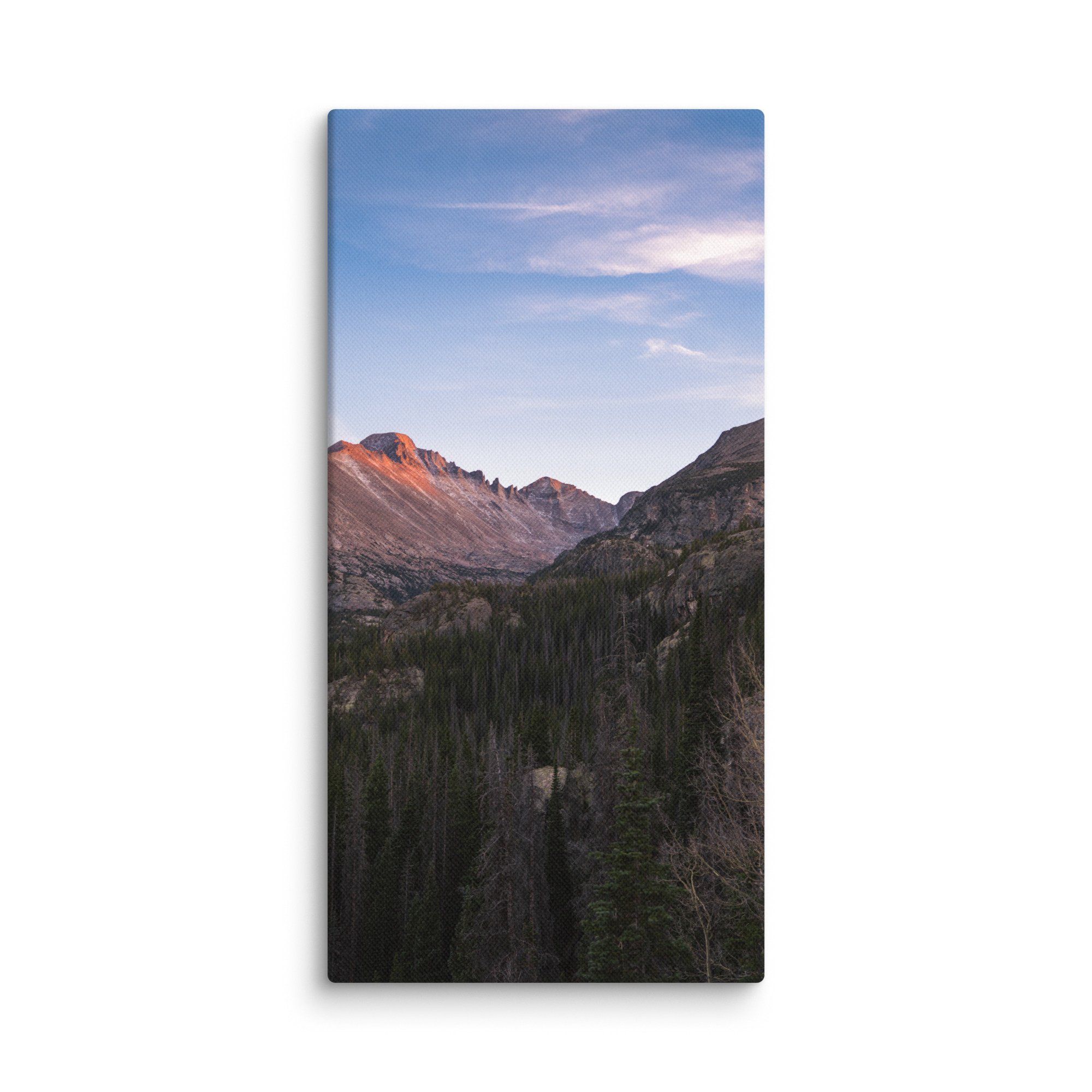 canvas-(in)-10x20-wall-6786c8f44ba26.jpg