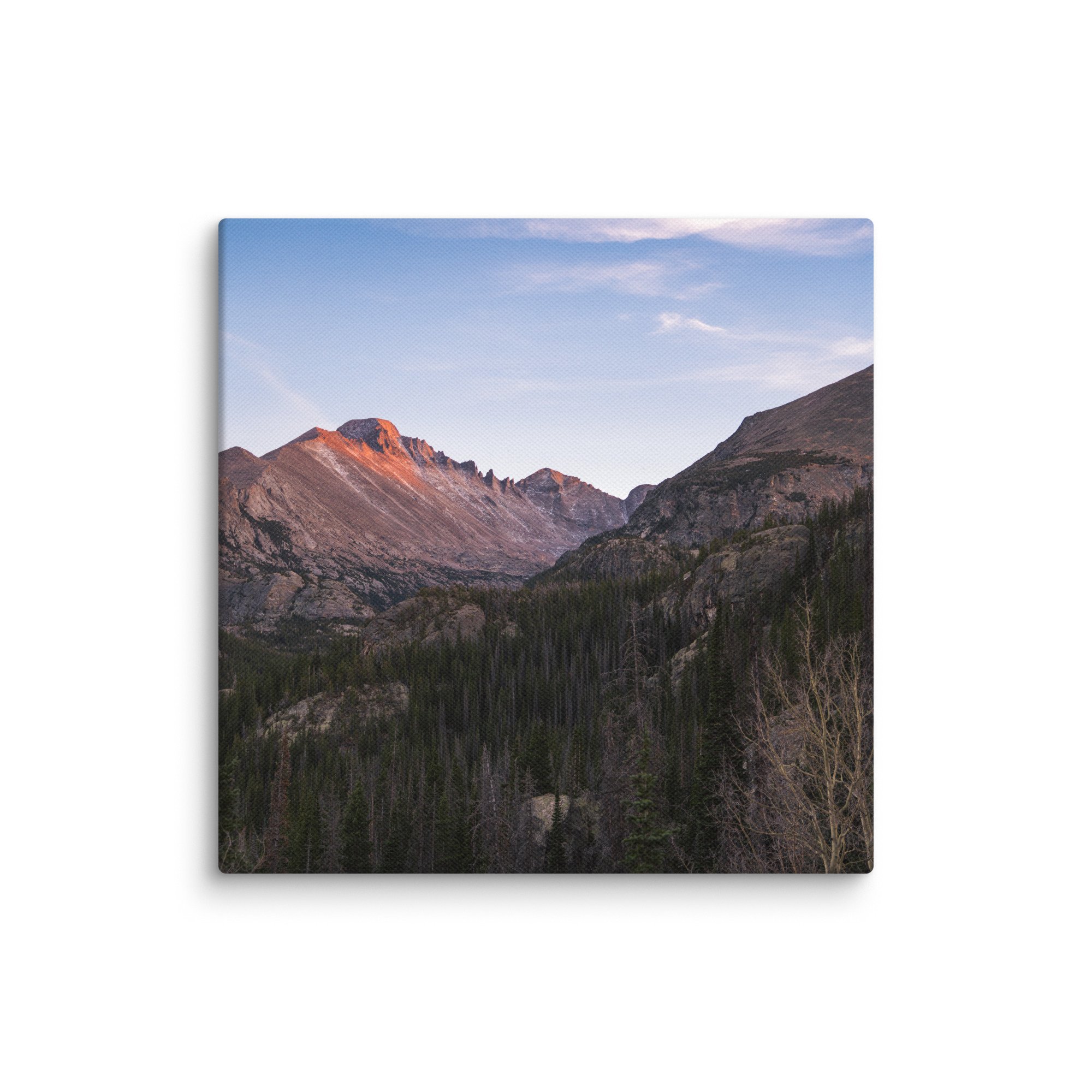 canvas-(in)-14x14-wall-6786c8f44bb31.jpg