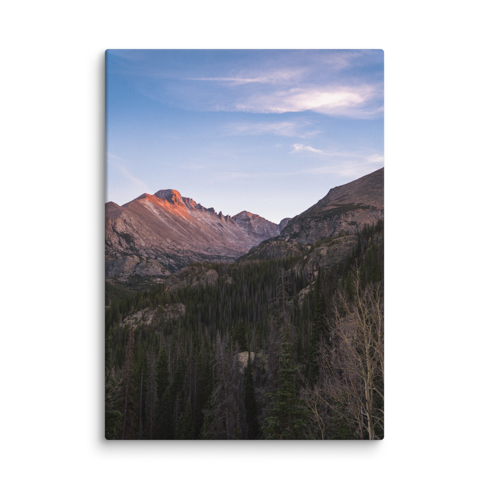 canvas-(in)-20x28-wall-6786c8f44bd45.jpg
