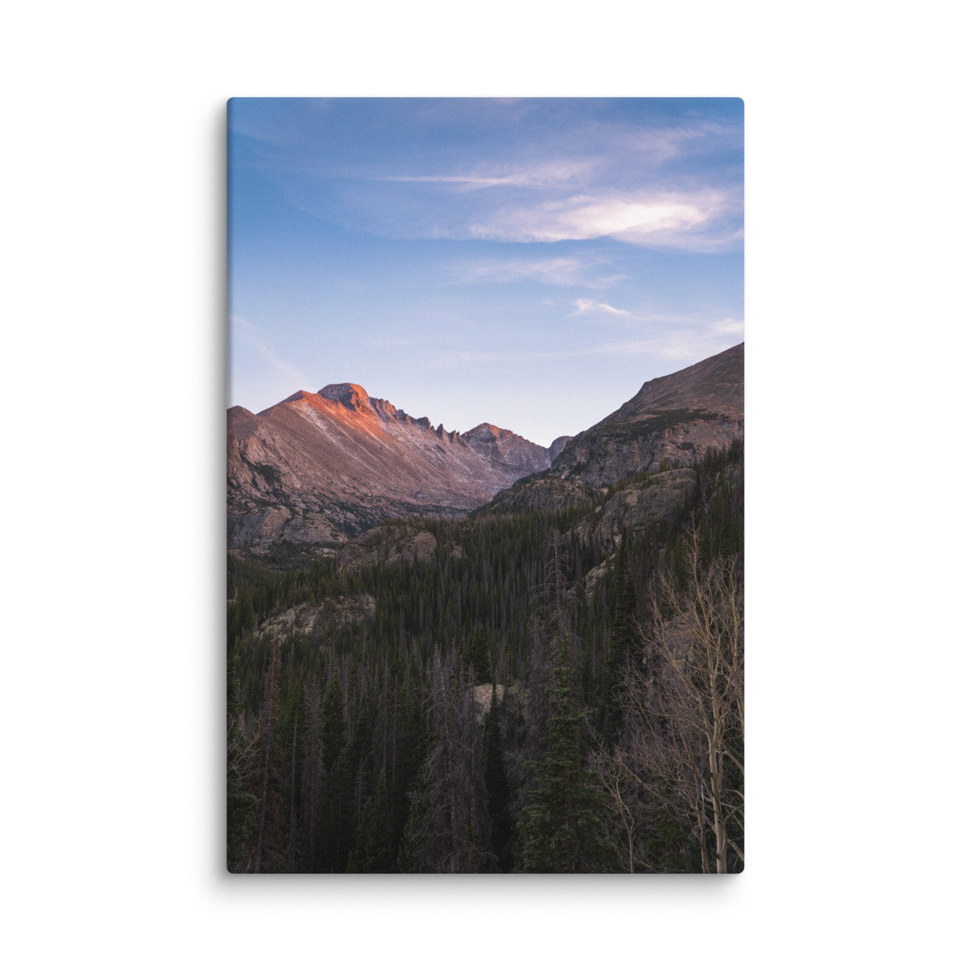 canvas-(in)-20x30-wall-6786c8f44bd8b.jpg