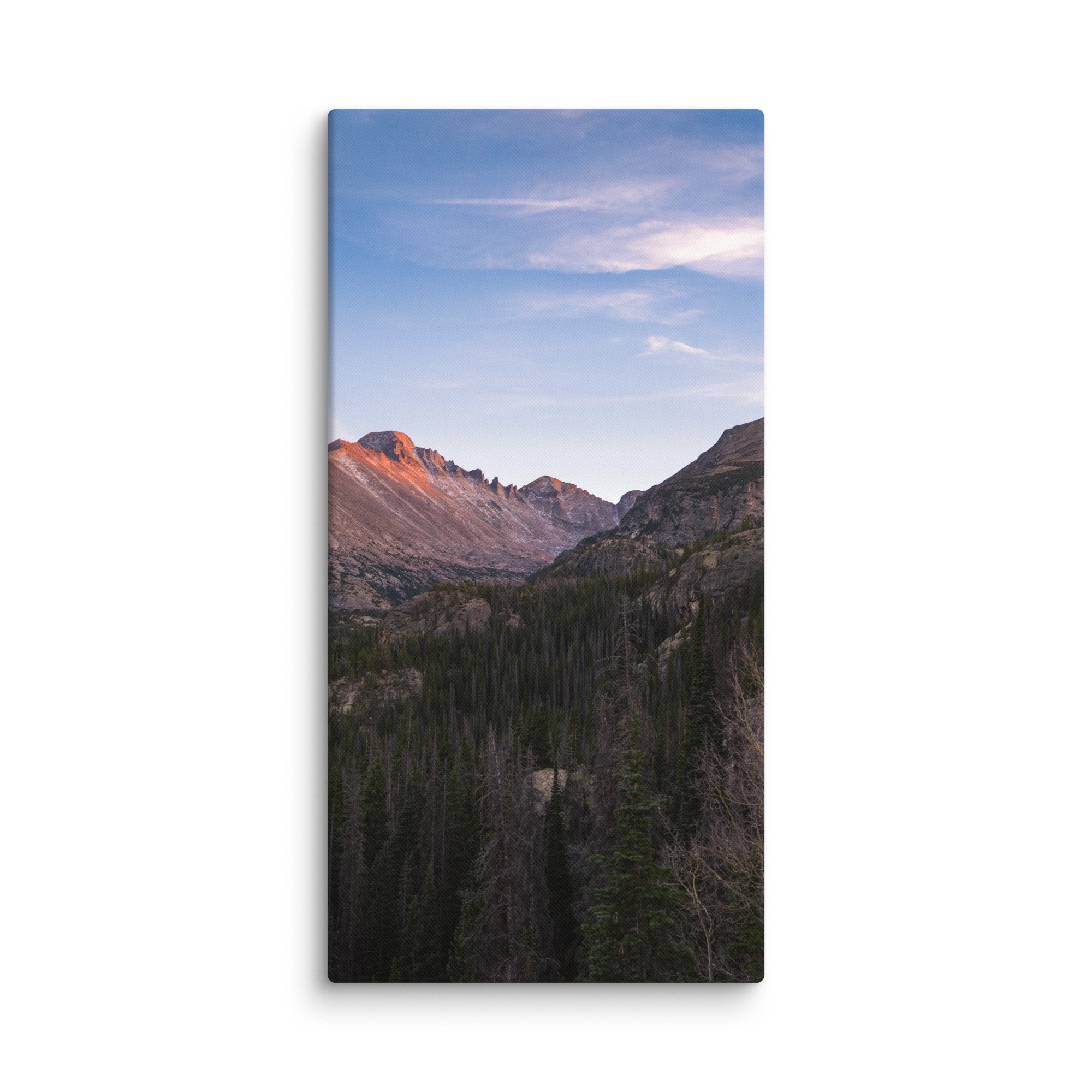 canvas-(in)-20x40-wall-6786c8f44bddc.jpg