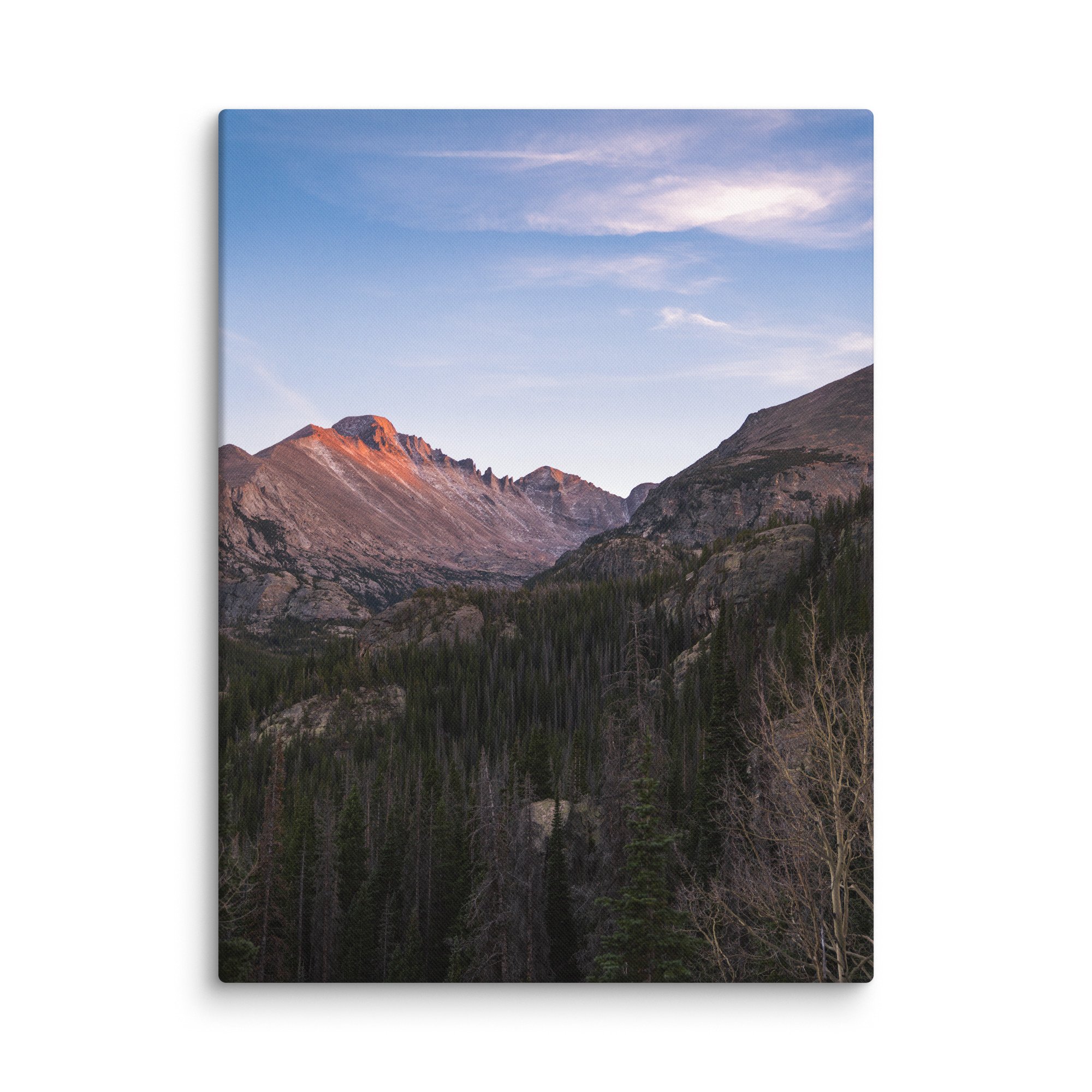 canvas-(in)-18x24-wall-6786c8f44c67c.jpg