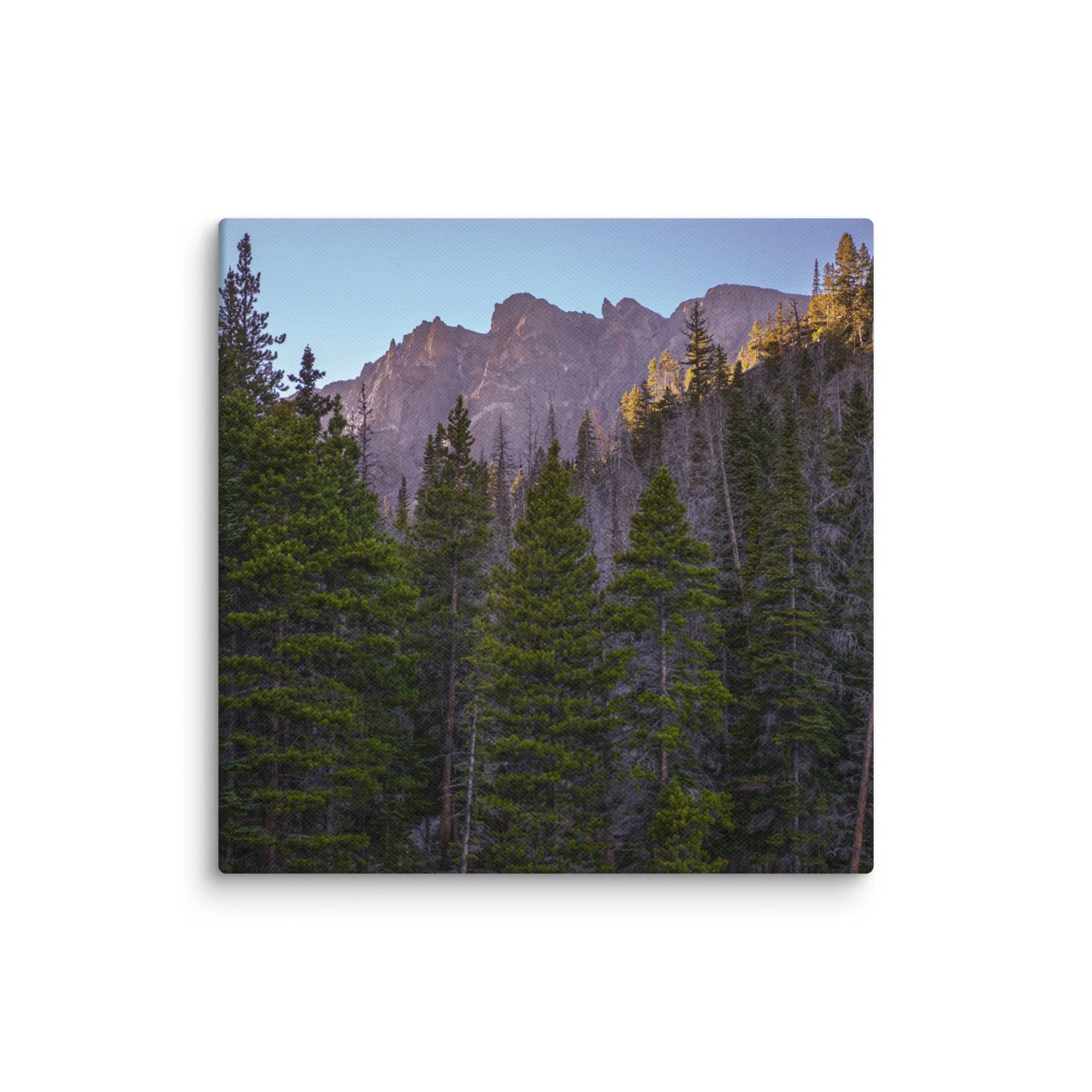 canvas-(in)-10x10-wall-6786cca07a008.jpg