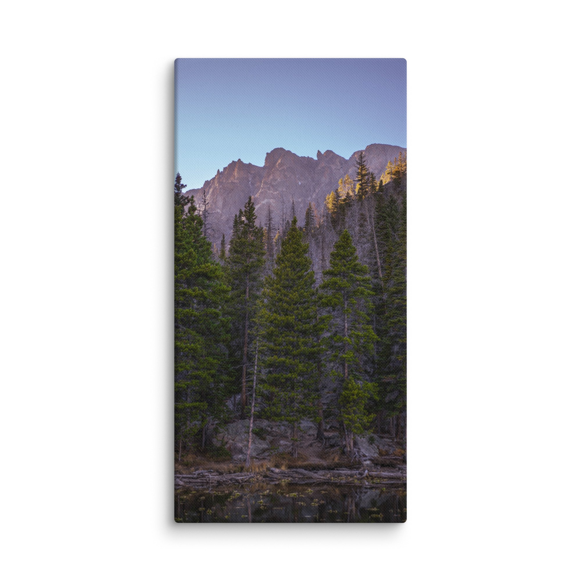 canvas-(in)-10x20-wall-6786cca07a098.jpg
