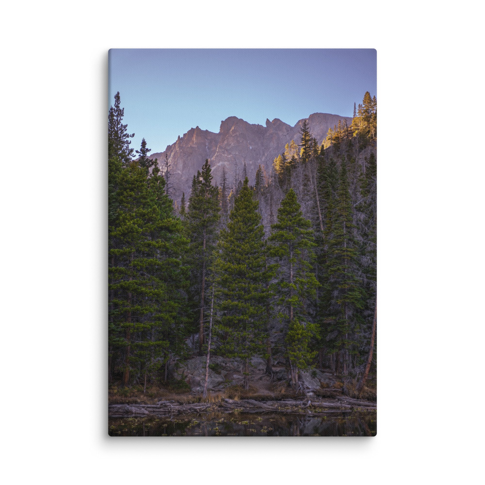 canvas-(in)-18x26-wall-6786cca07a3da.jpg