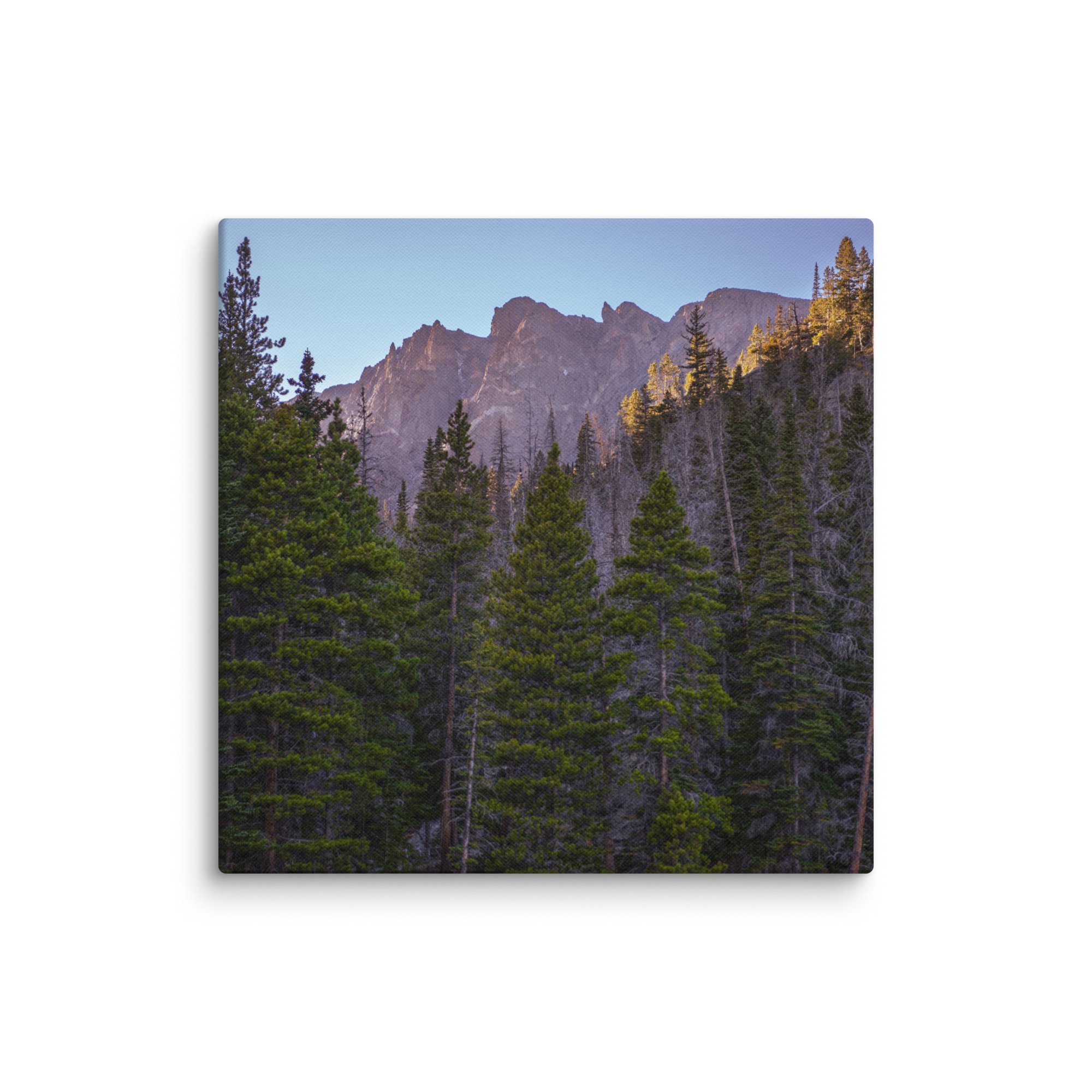 canvas-(in)-26x26-wall-6786cca07a835.jpg