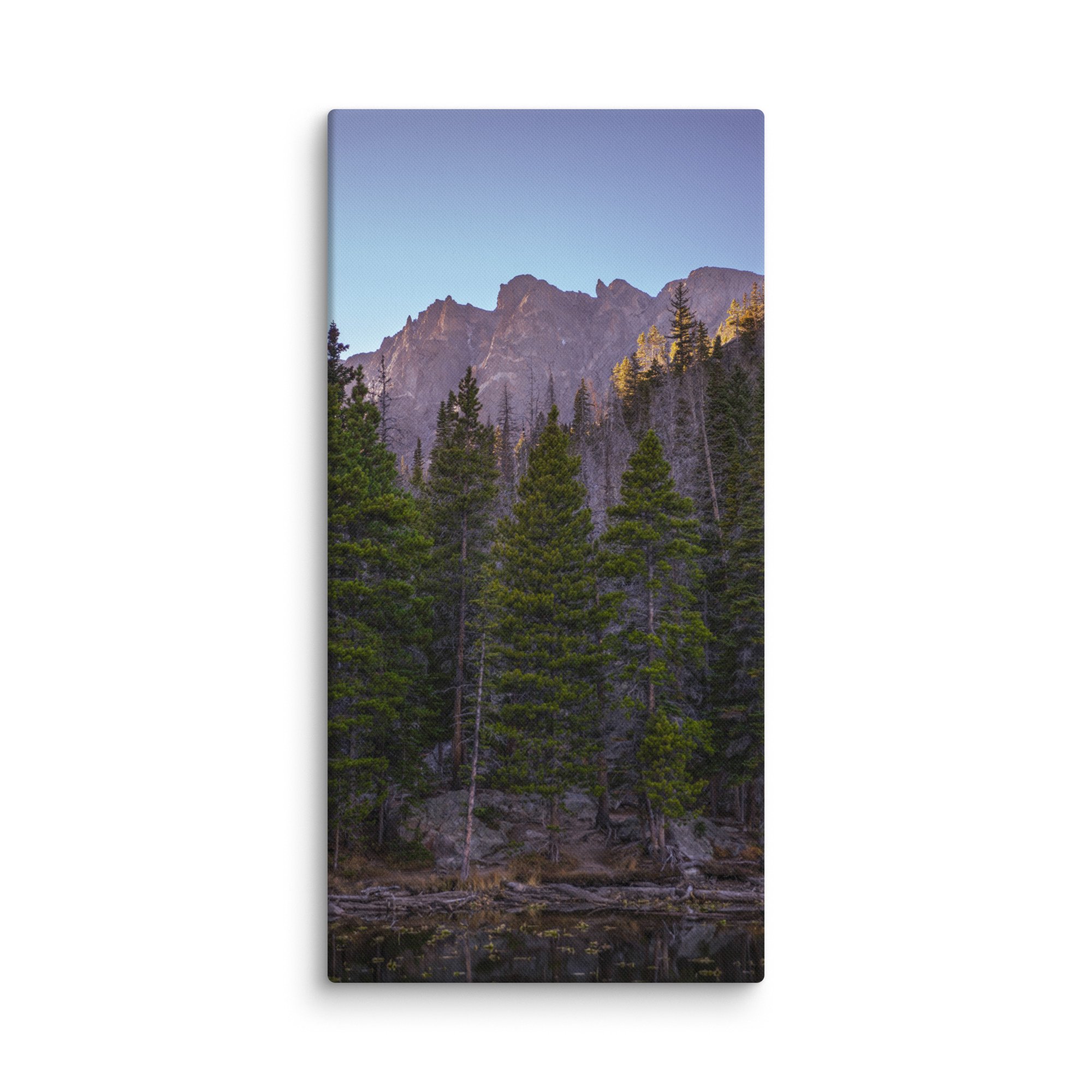 canvas-(in)-30x60-wall-6786cca07aadd.jpg