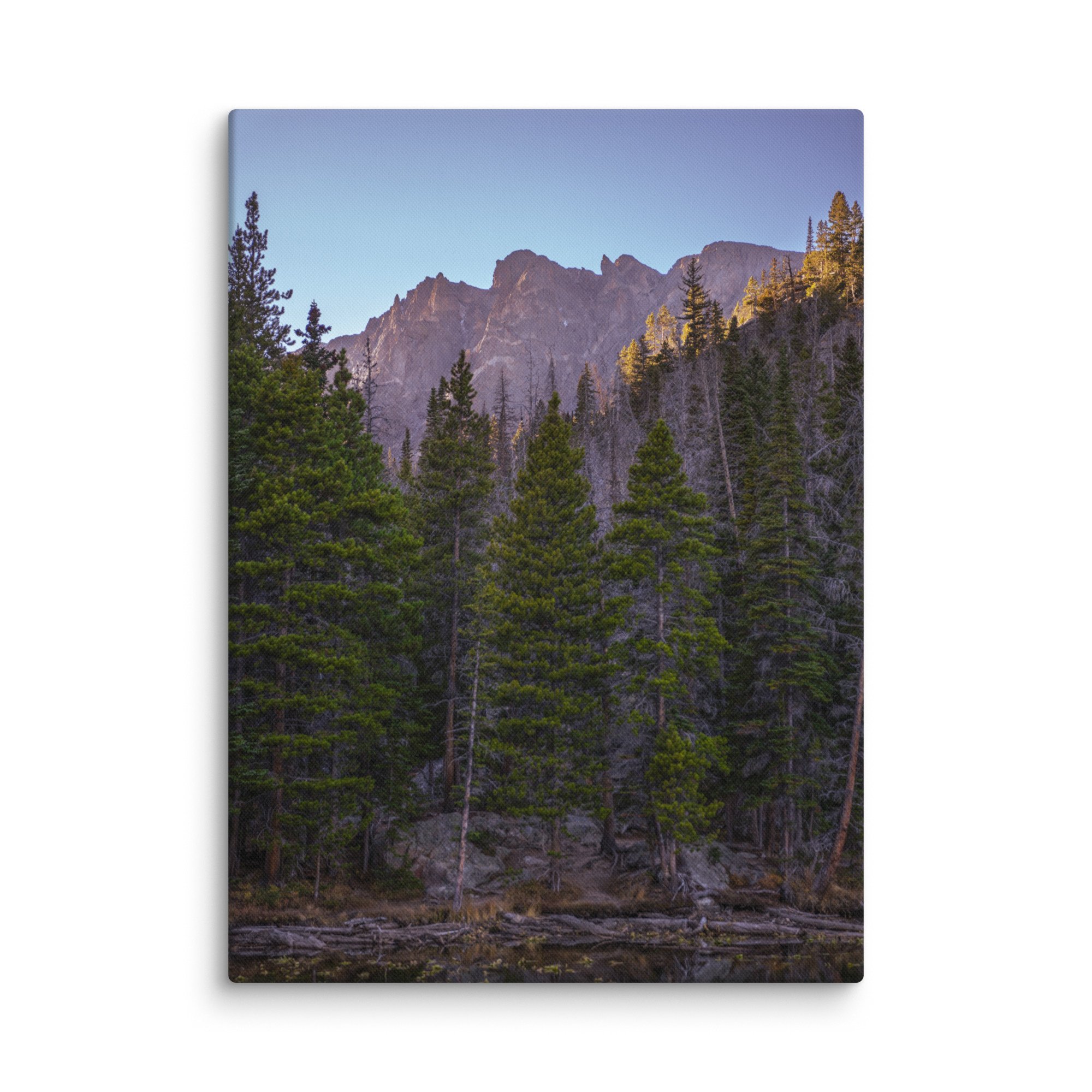 canvas-(in)-40x55-wall-6786cca07ad0c.jpg