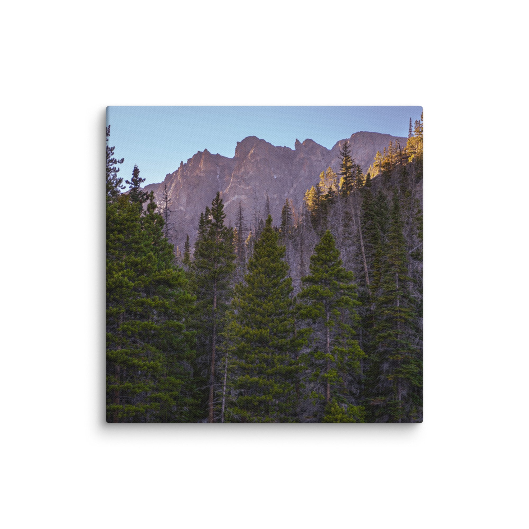 canvas-(in)-12x12-wall-6786cca07b01c.jpg