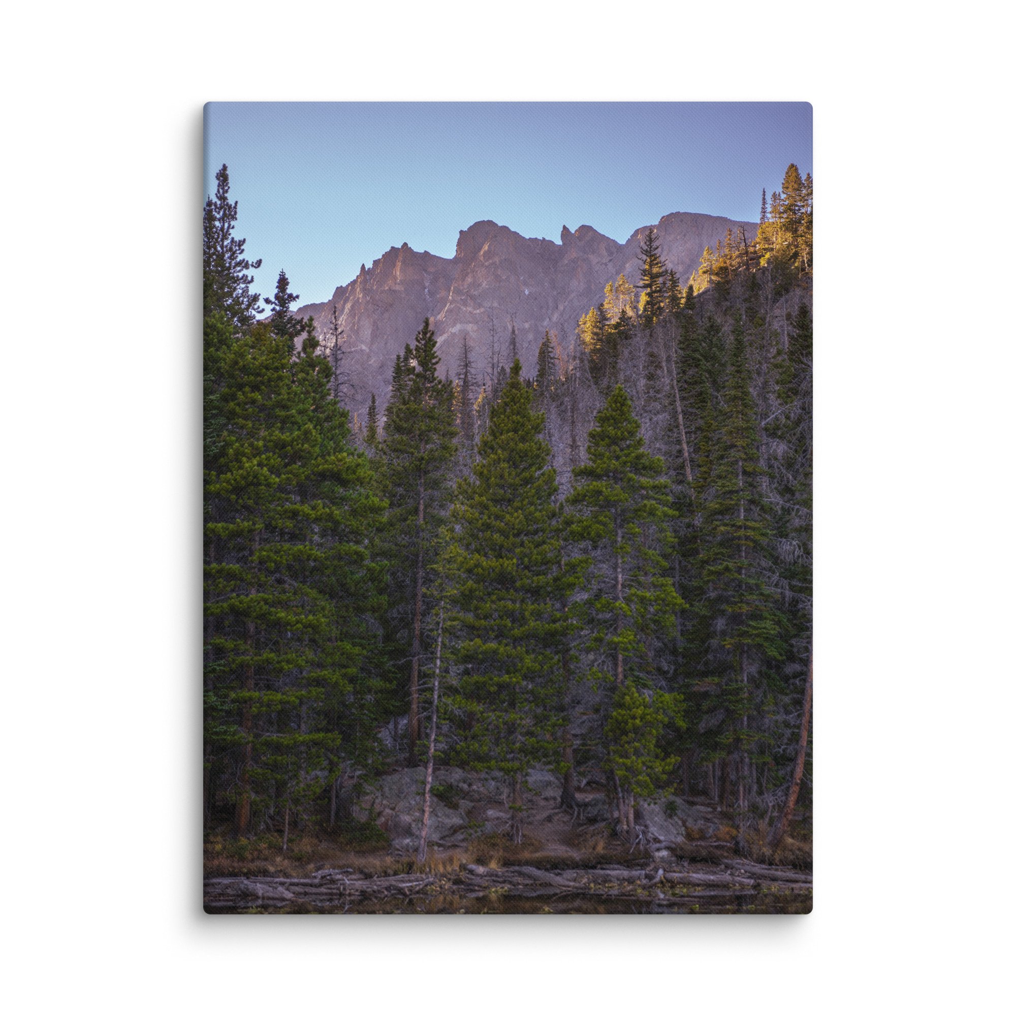 canvas-(in)-18x24-wall-6786cca07b306.jpg
