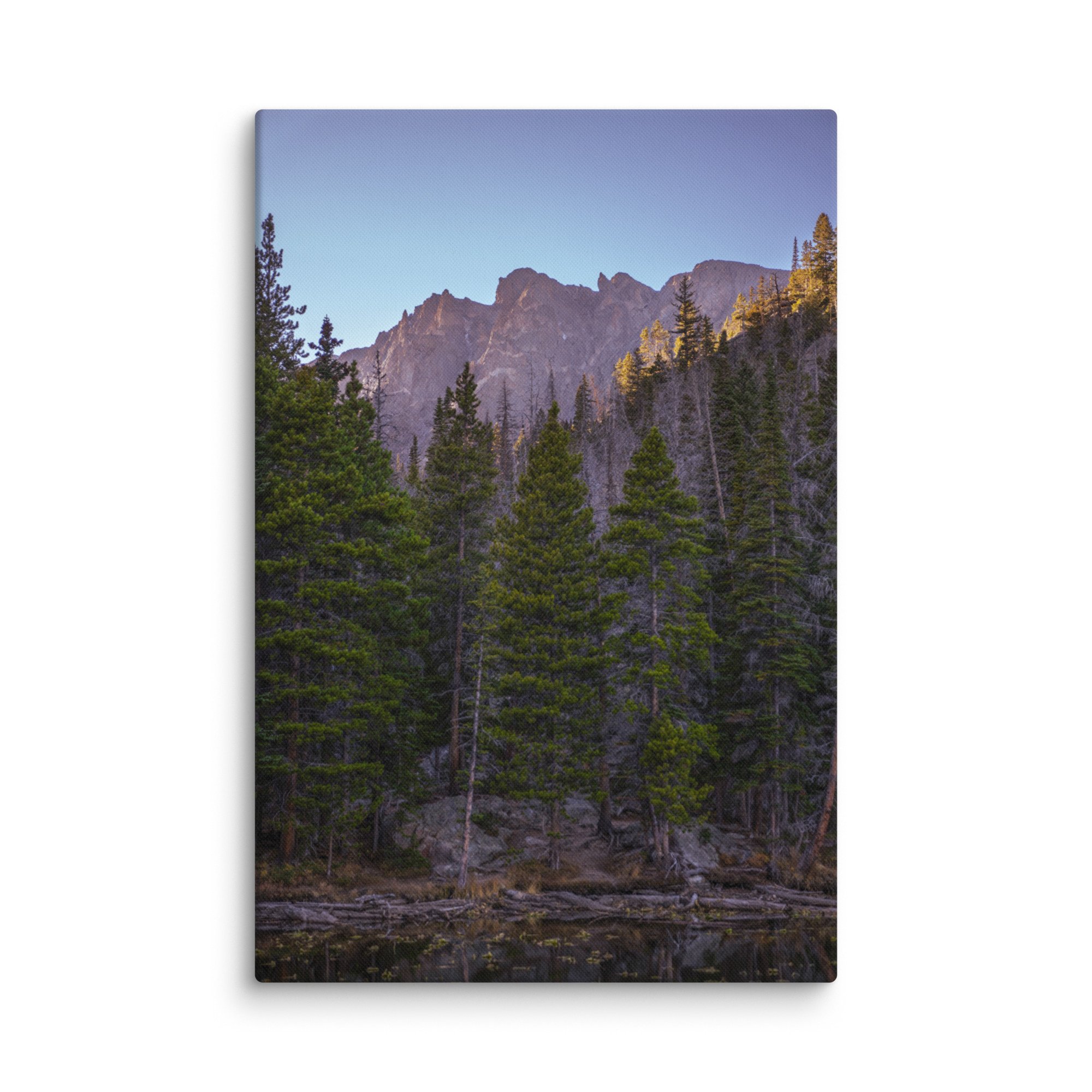 canvas-(in)-24x36-wall-6786cca07b38c.jpg