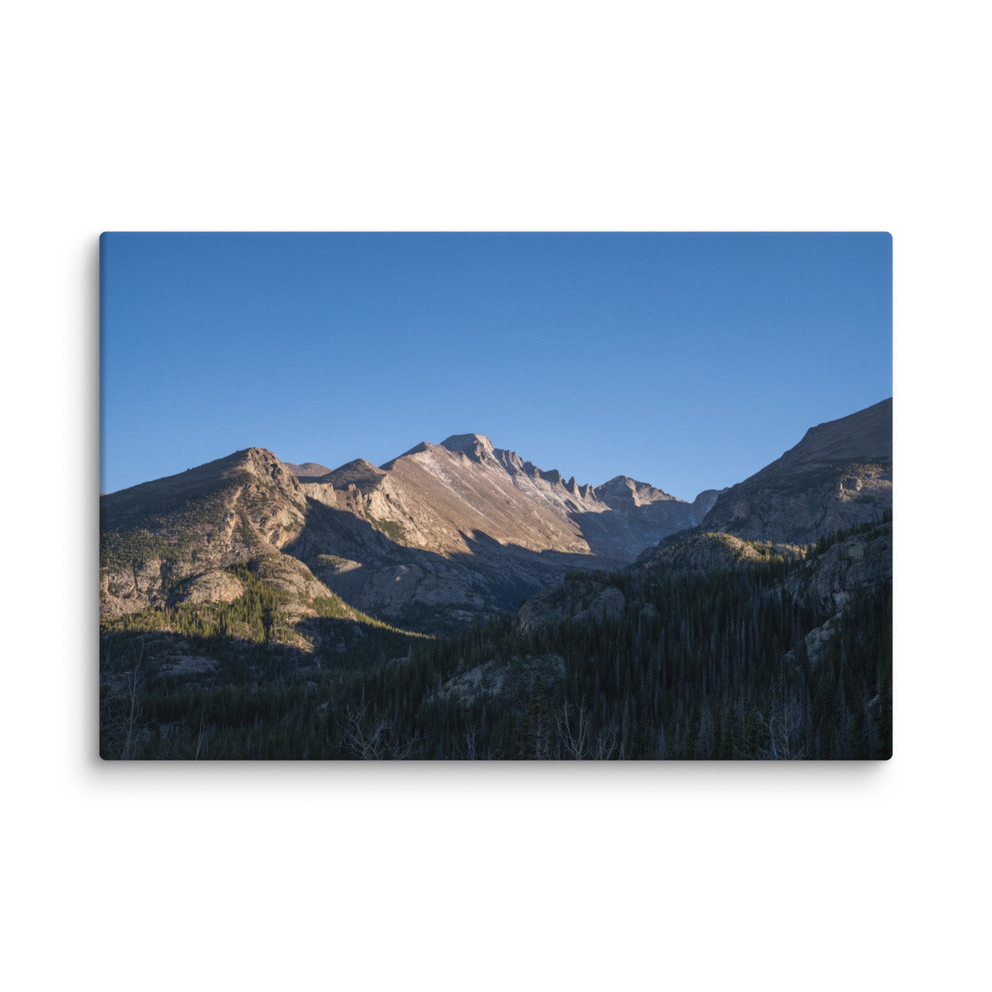canvas-(in)-16x24-wall-6786ce4790ee6.jpg