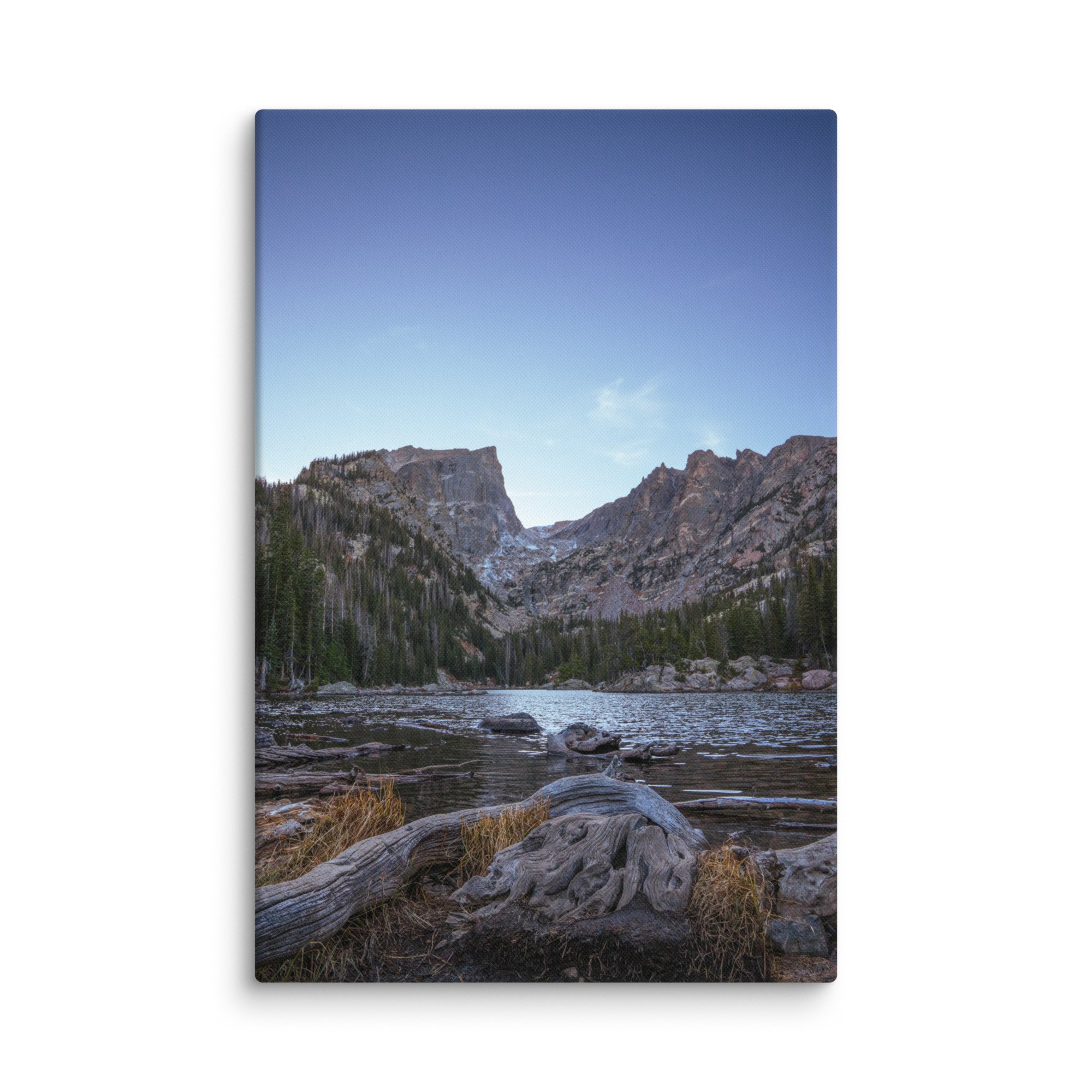 canvas-(in)-16x24-wall-6786cf5db411d.jpg