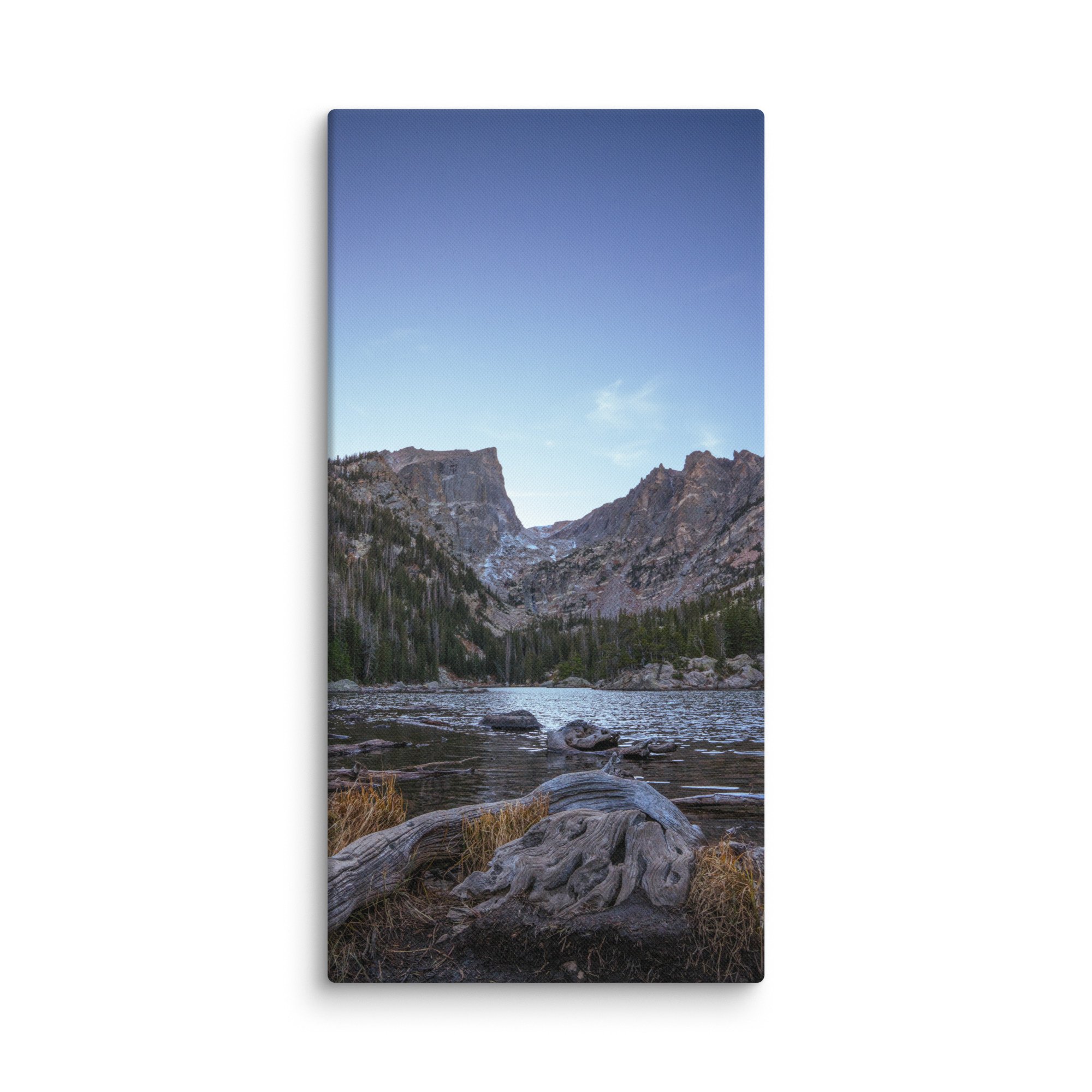 canvas-(in)-20x40-wall-6786cf5db43c7.jpg
