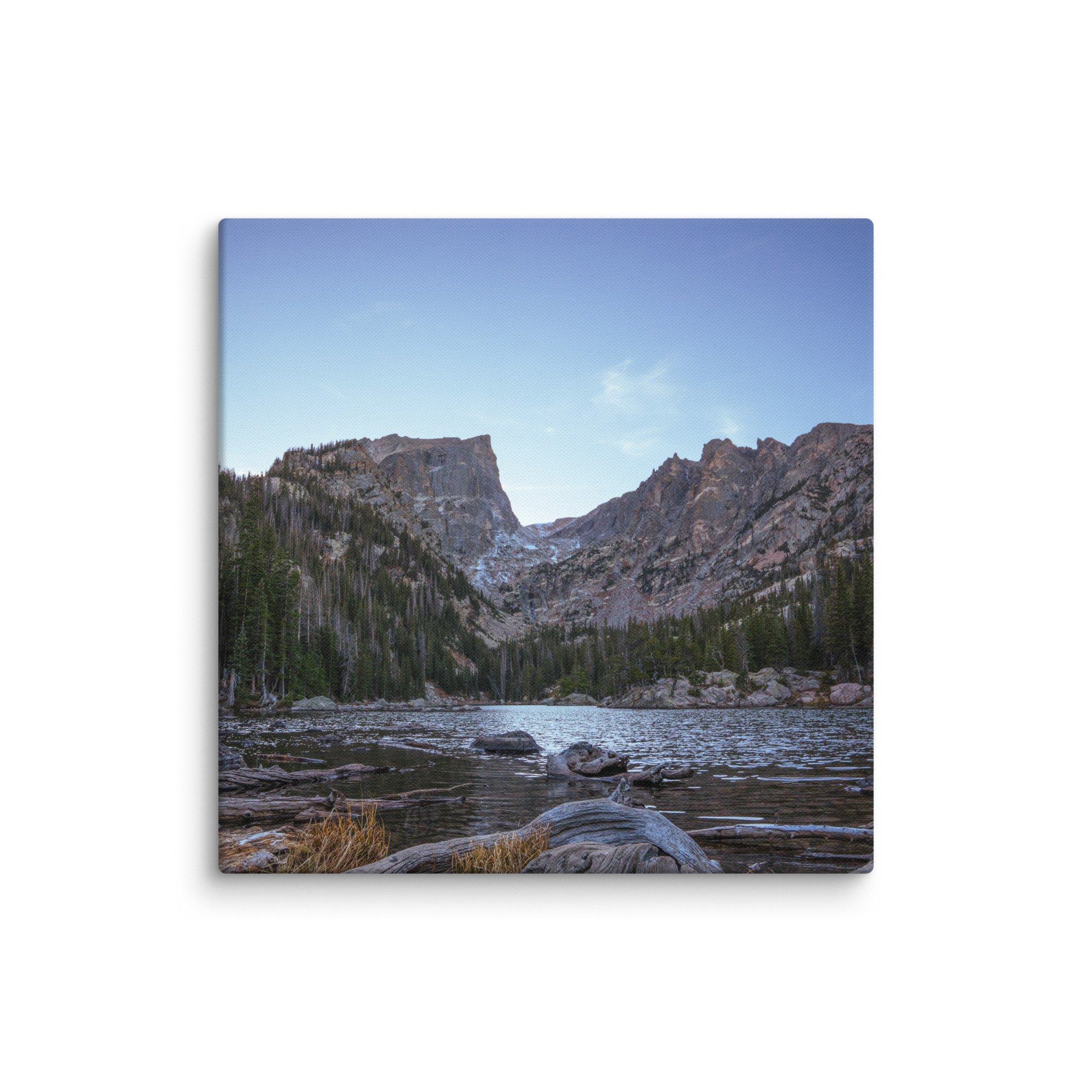 canvas-(in)-32x32-wall-6786cf5db476a.jpg