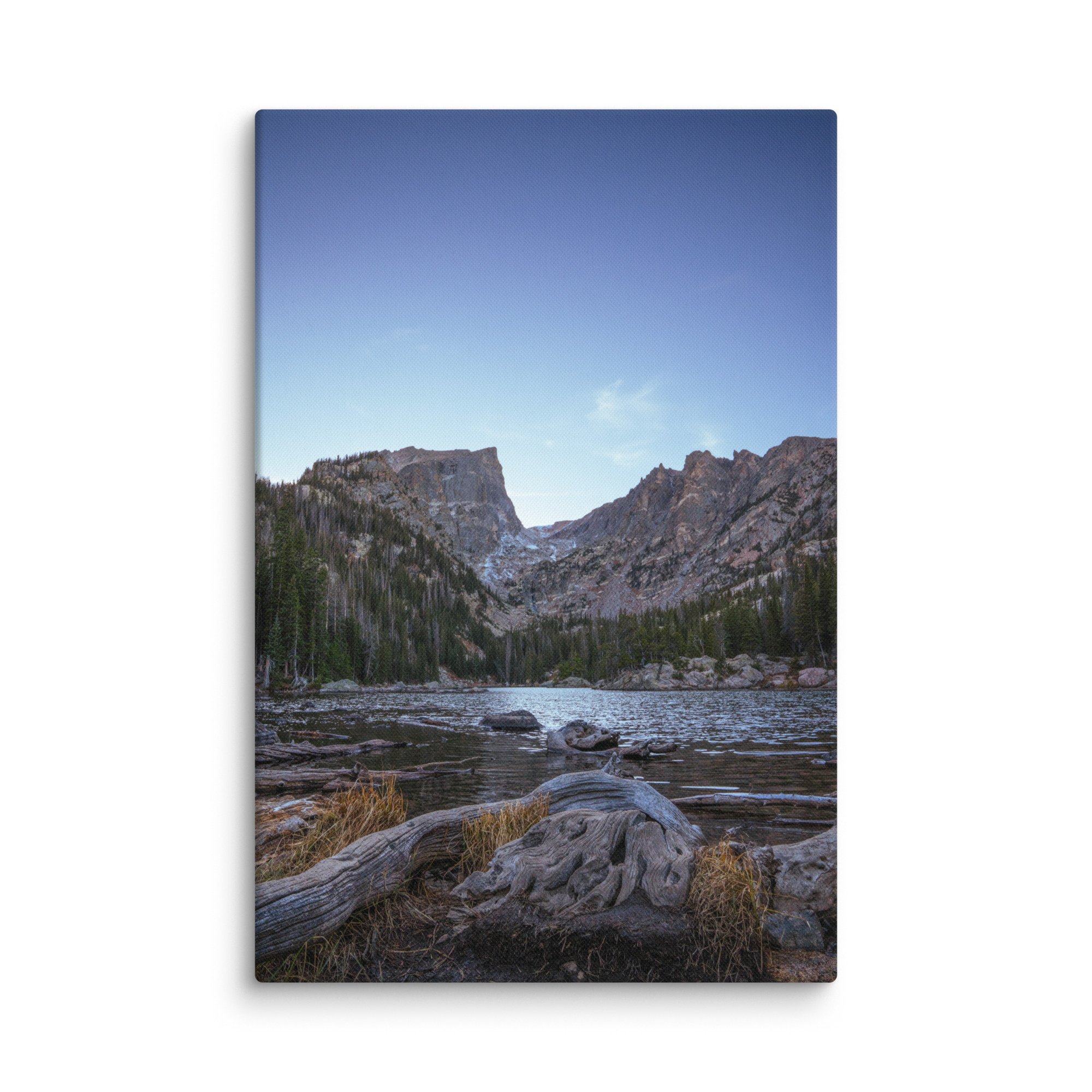 canvas-(in)-40x60-wall-6786cf5db48c8.jpg