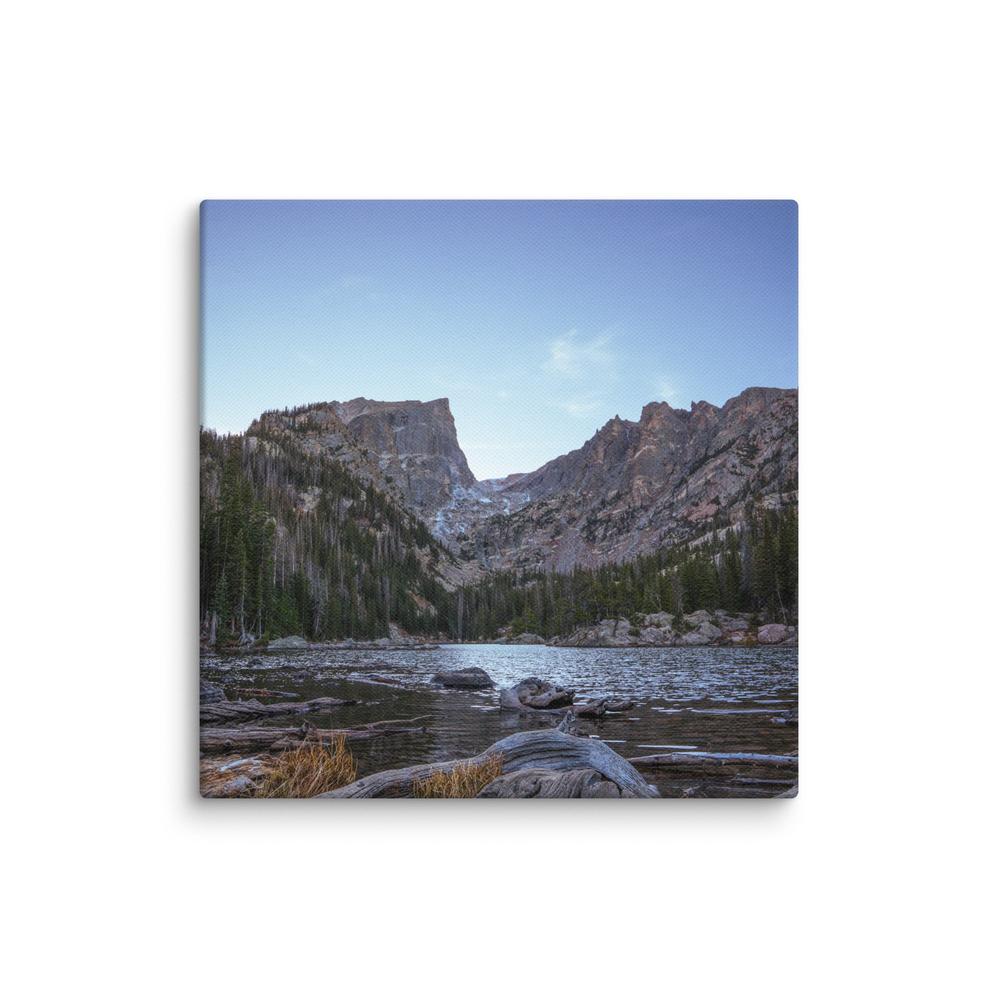 canvas-(in)-8x8-wall-6786cf5db49e6.jpg