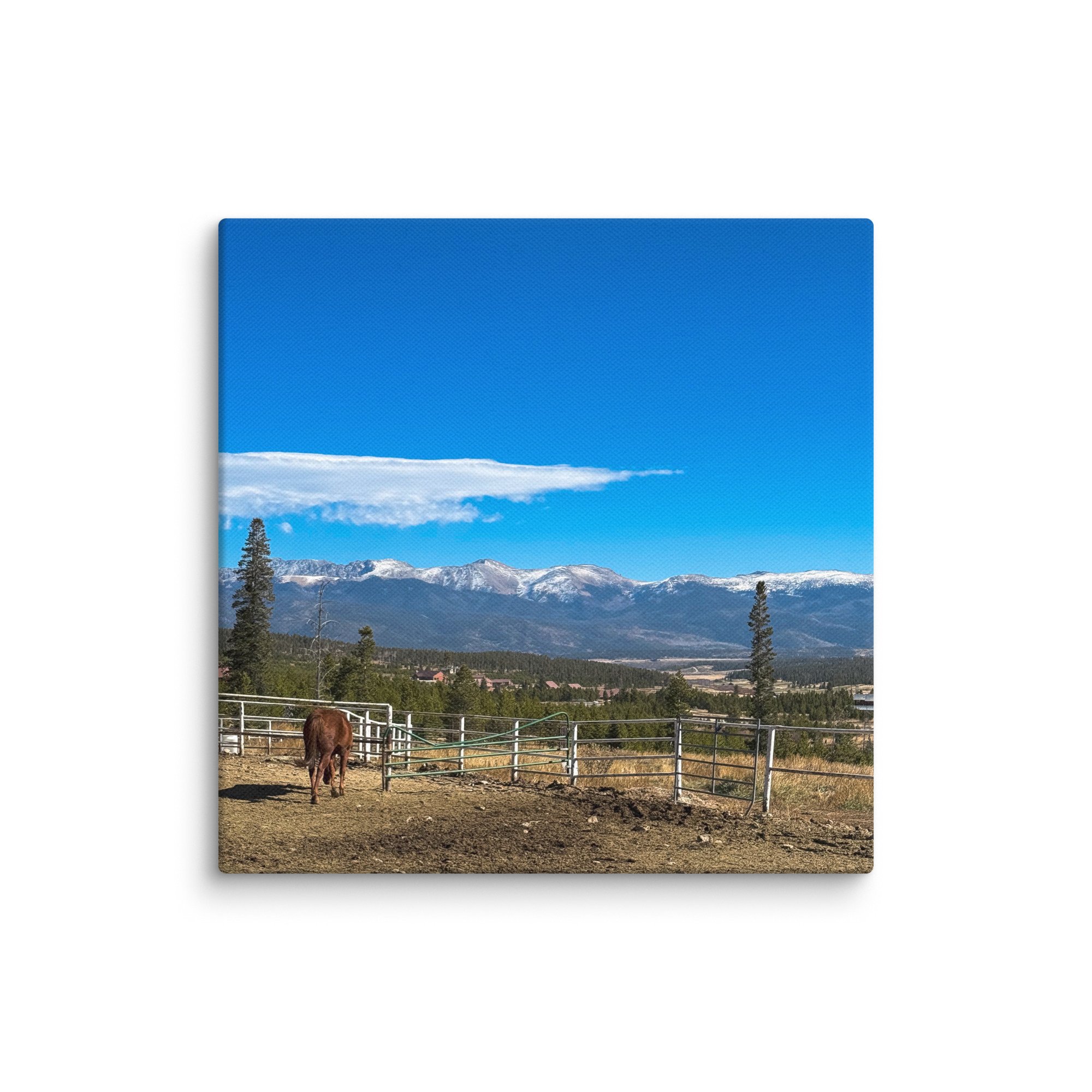 canvas-(in)-10x10-wall-6786d3f38e7e3.jpg