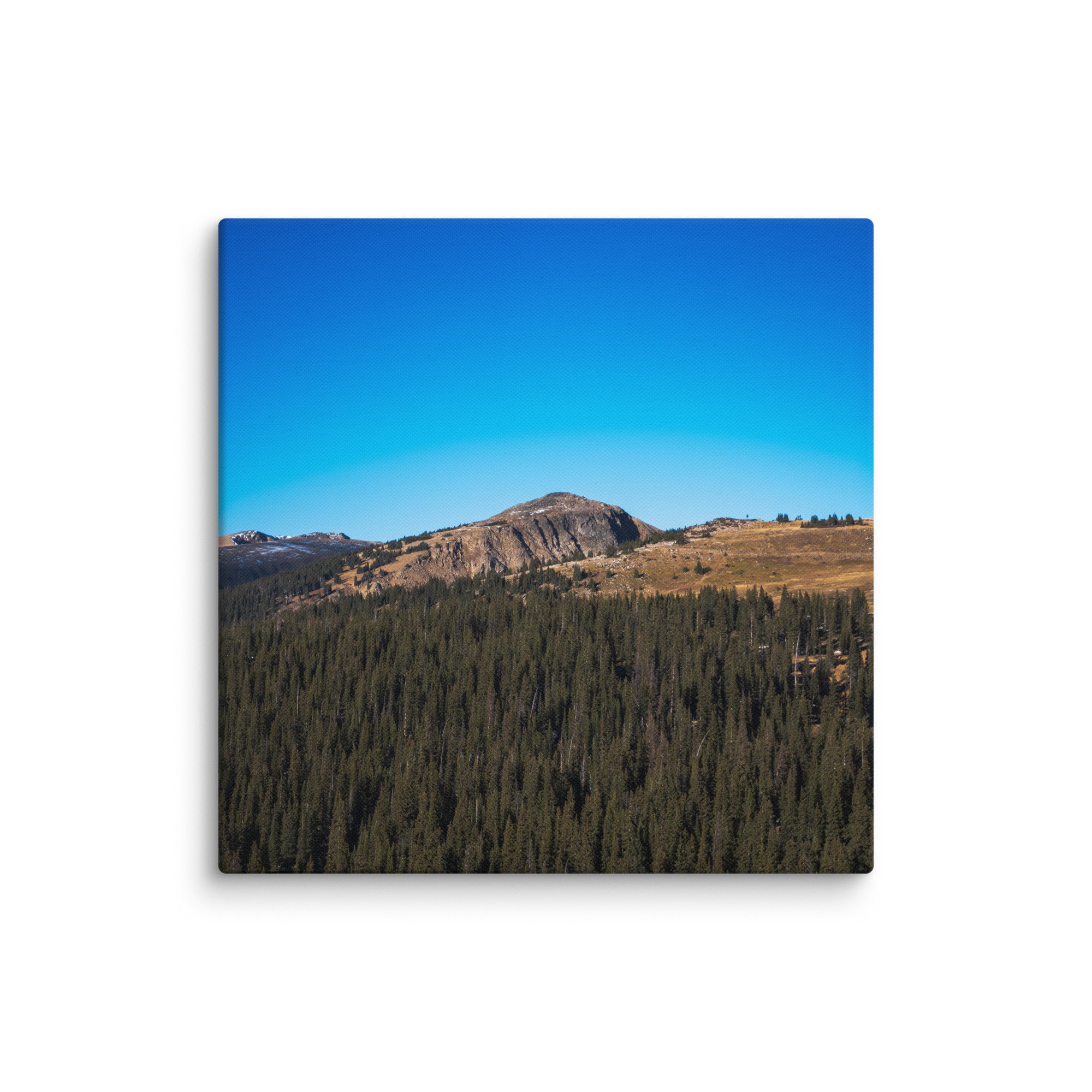 canvas-(in)-30x30-wall-6786d568b8f13.jpg