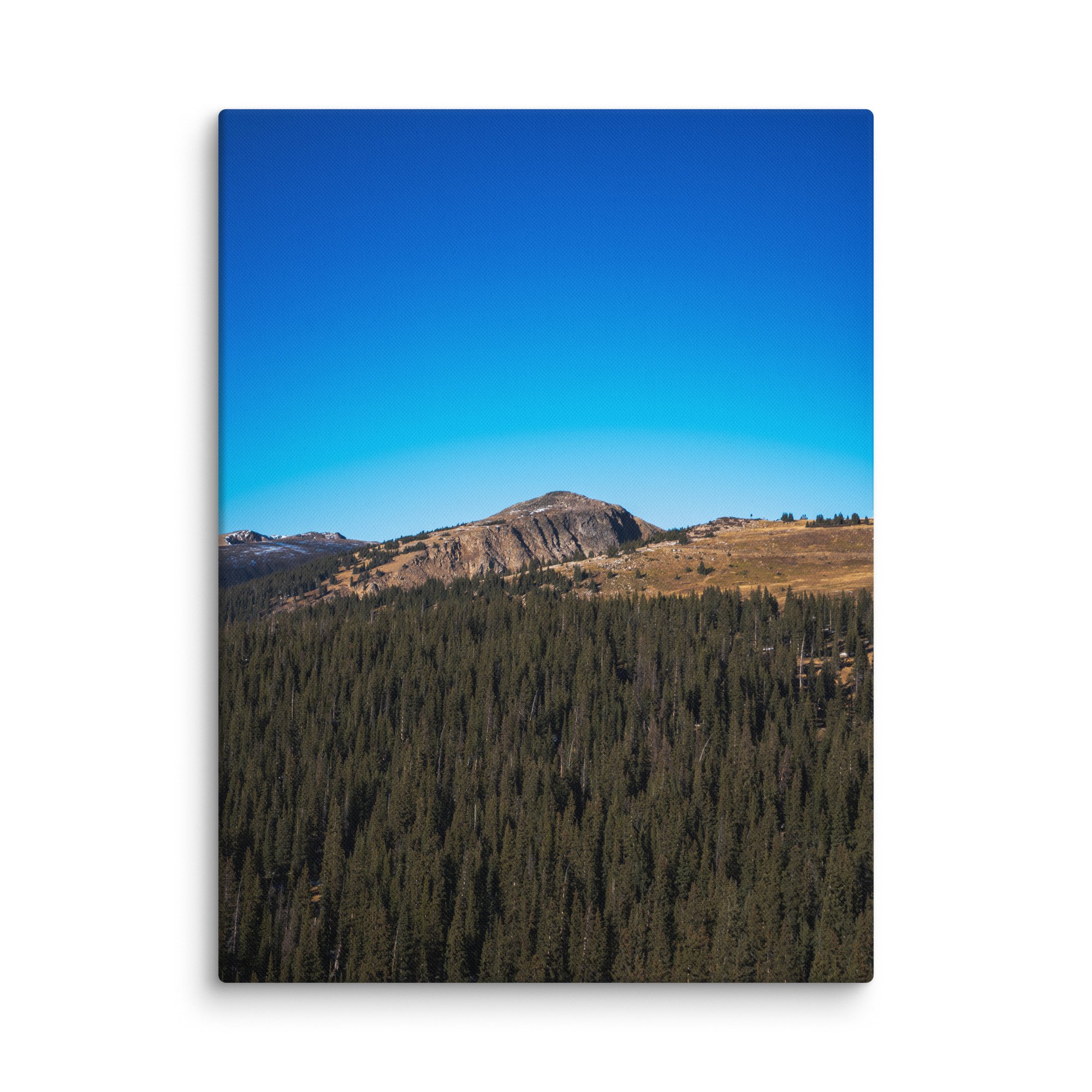 canvas-(in)-18x24-wall-6786d568b94d9.jpg
