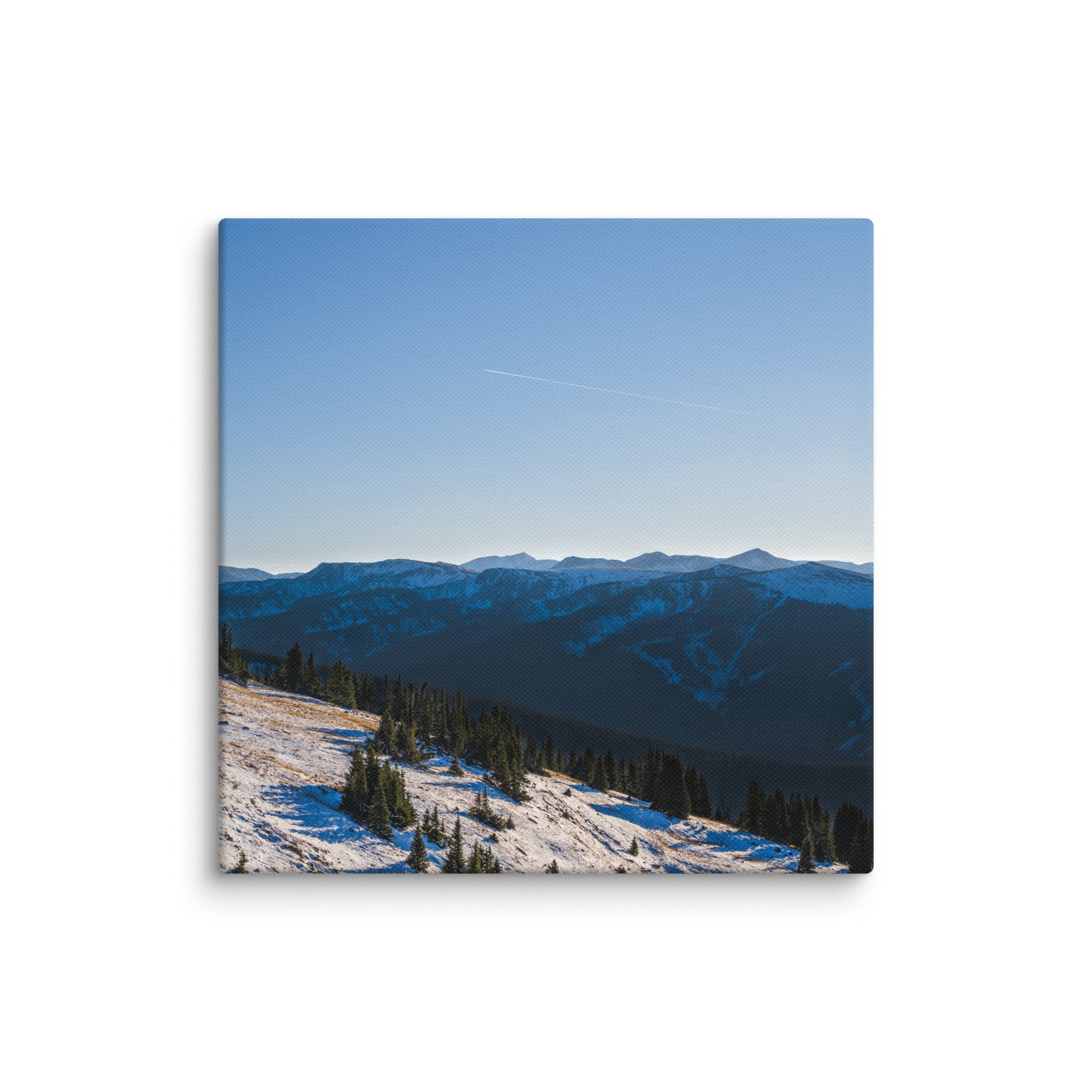canvas-(in)-14x14-wall-6786d69a9207b.jpg