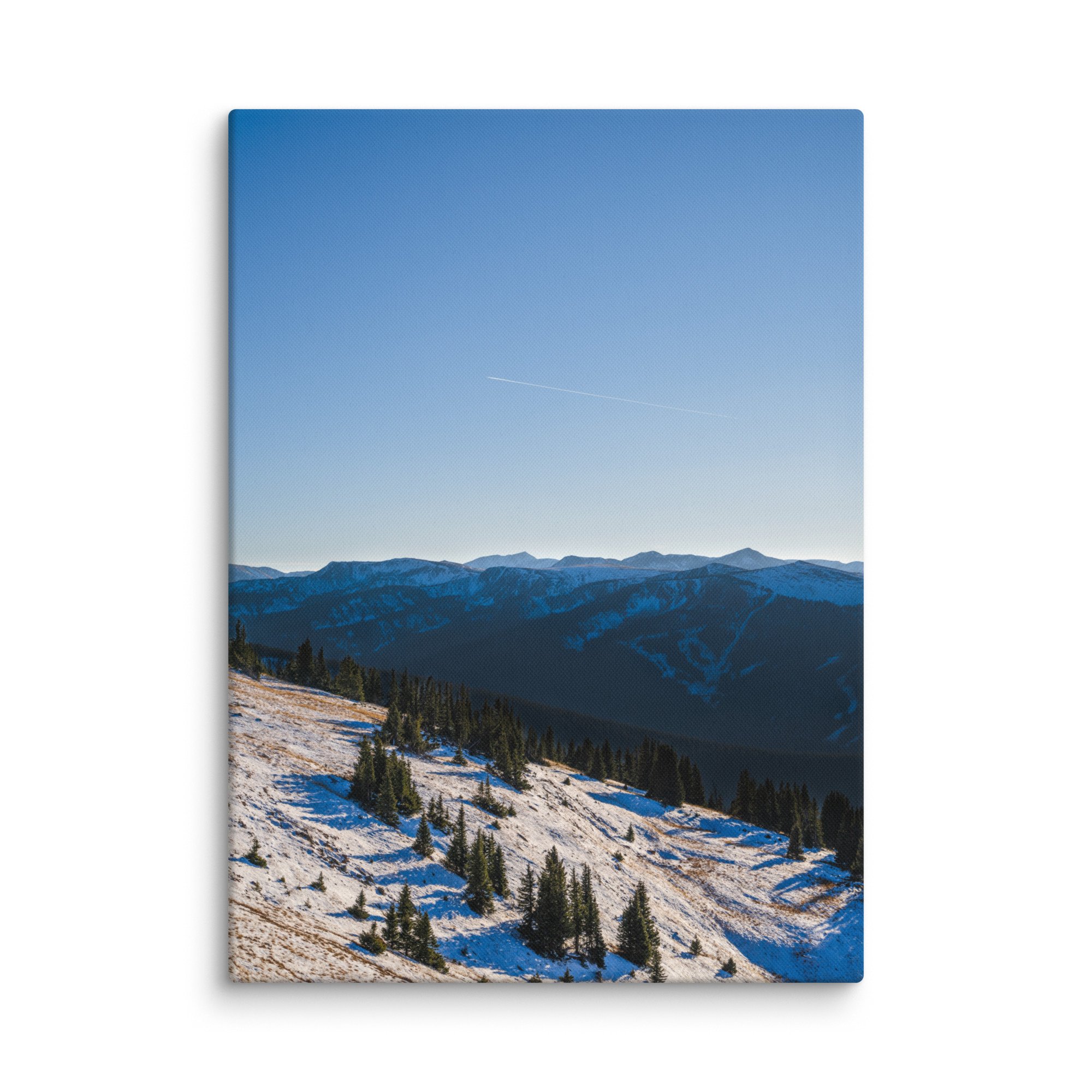 canvas-(in)-40x55-wall-6786d69a92d06.jpg