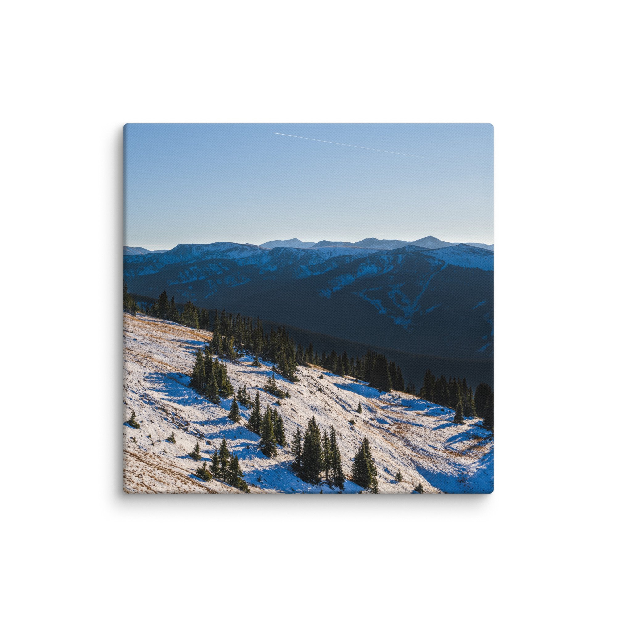 canvas-(in)-8x8-wall-6786d69a92f89.jpg
