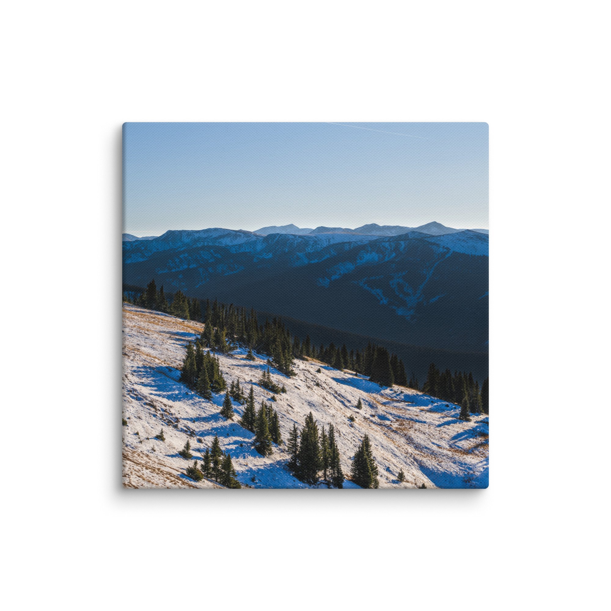 canvas-(in)-12x12-wall-6786d69a9309e.jpg