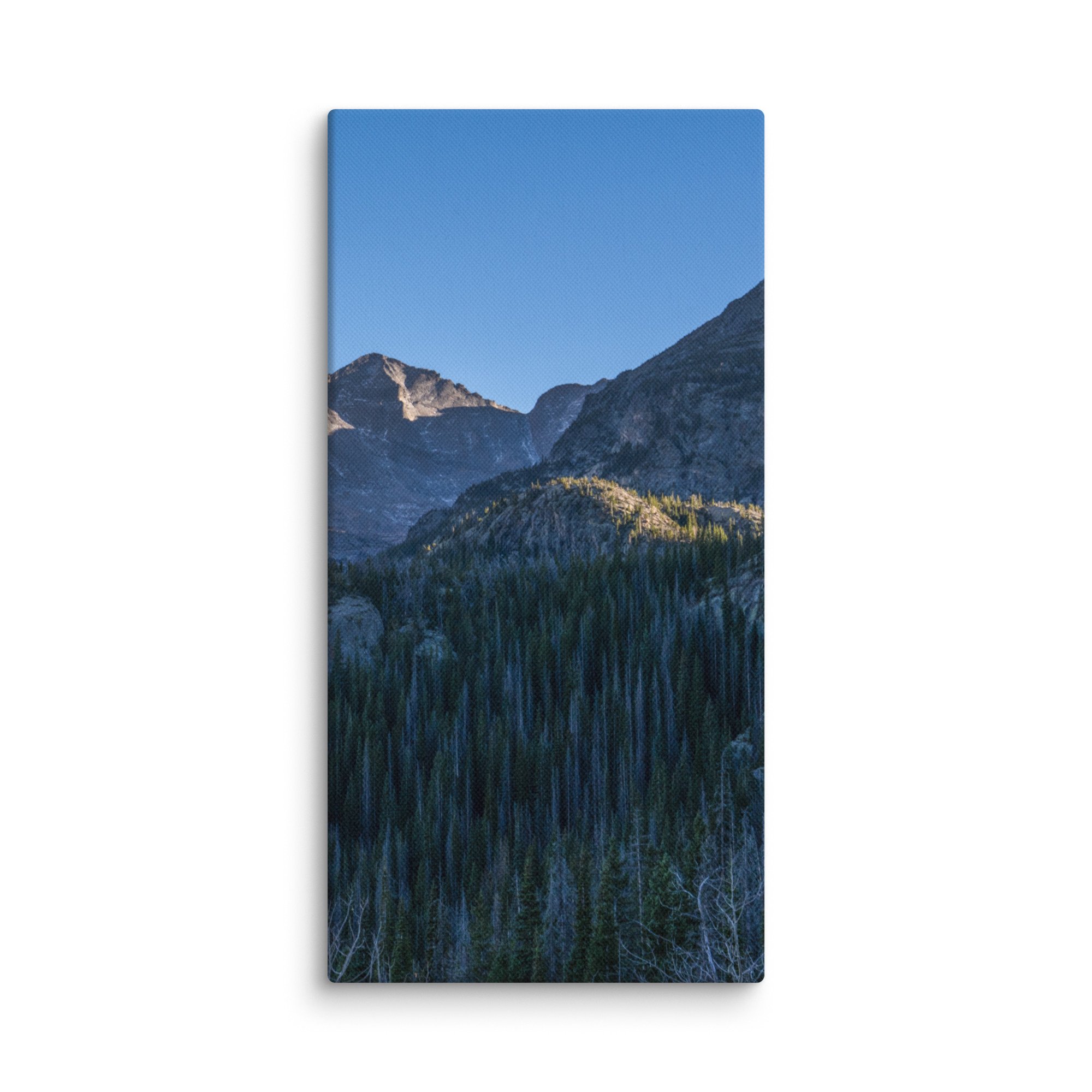canvas-(in)-12x24-wall-6786d7c4b01c6.jpg