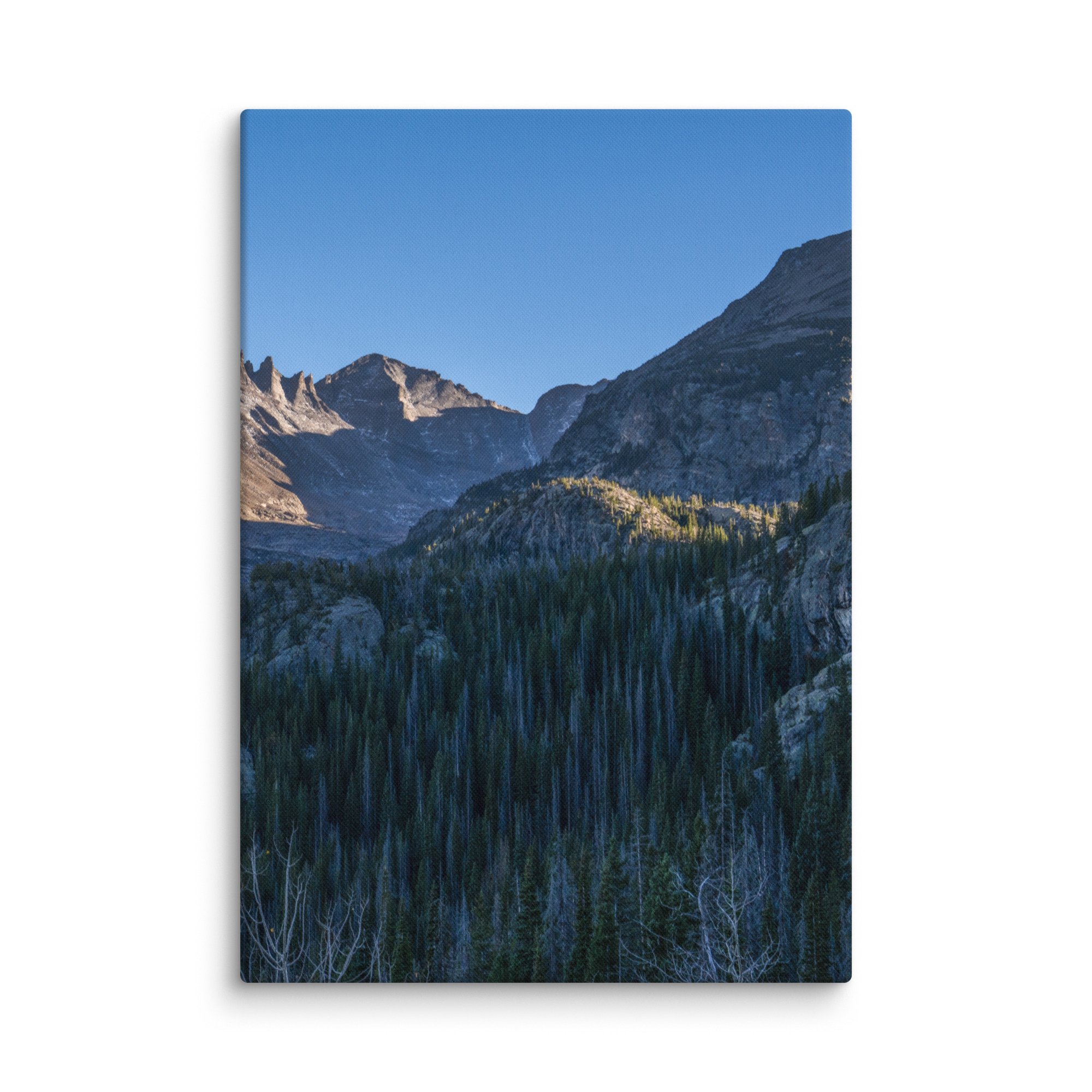 canvas-(in)-28x40-wall-6786d7c4b062e.jpg