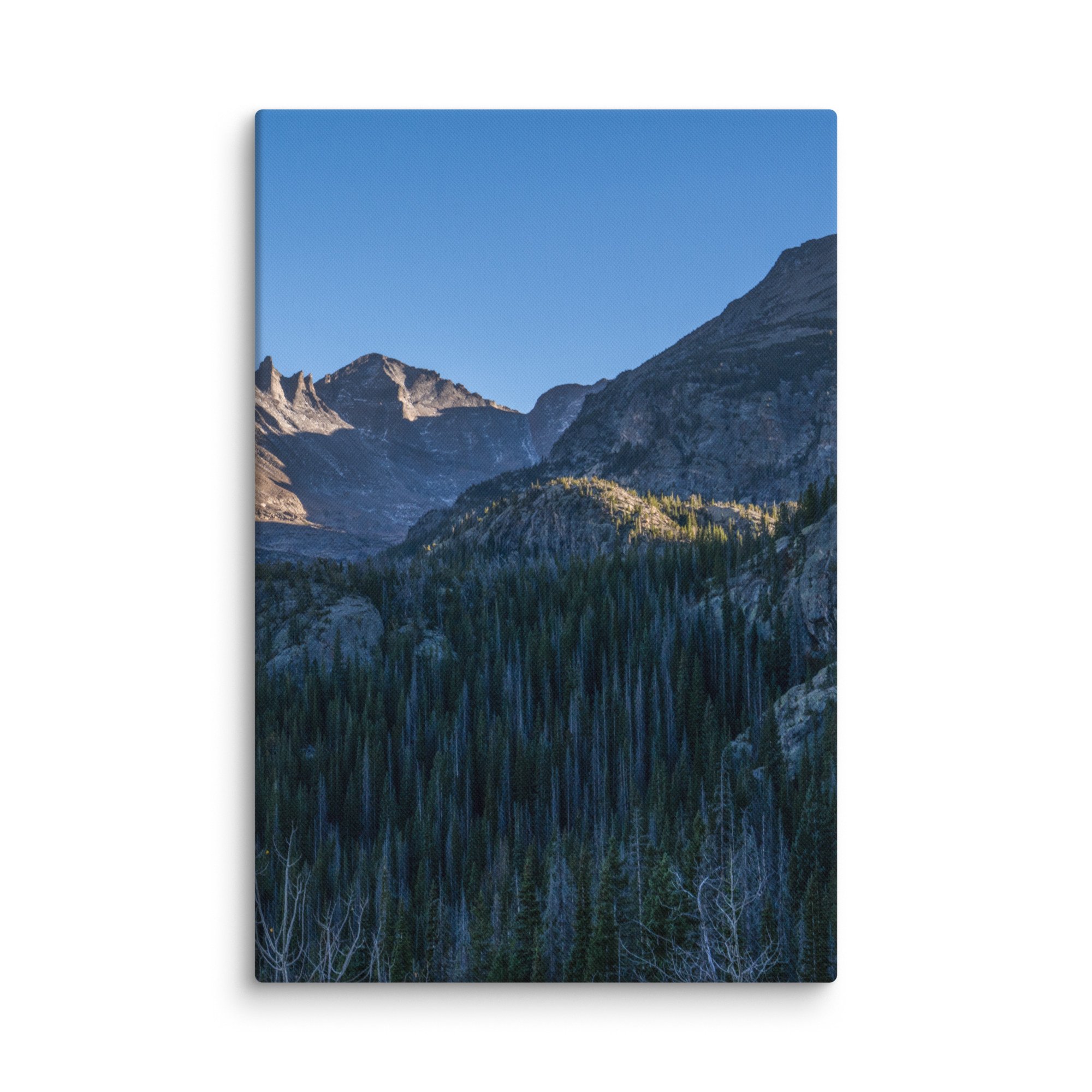 canvas-(in)-32x48-wall-6786d7c4b0754.jpg