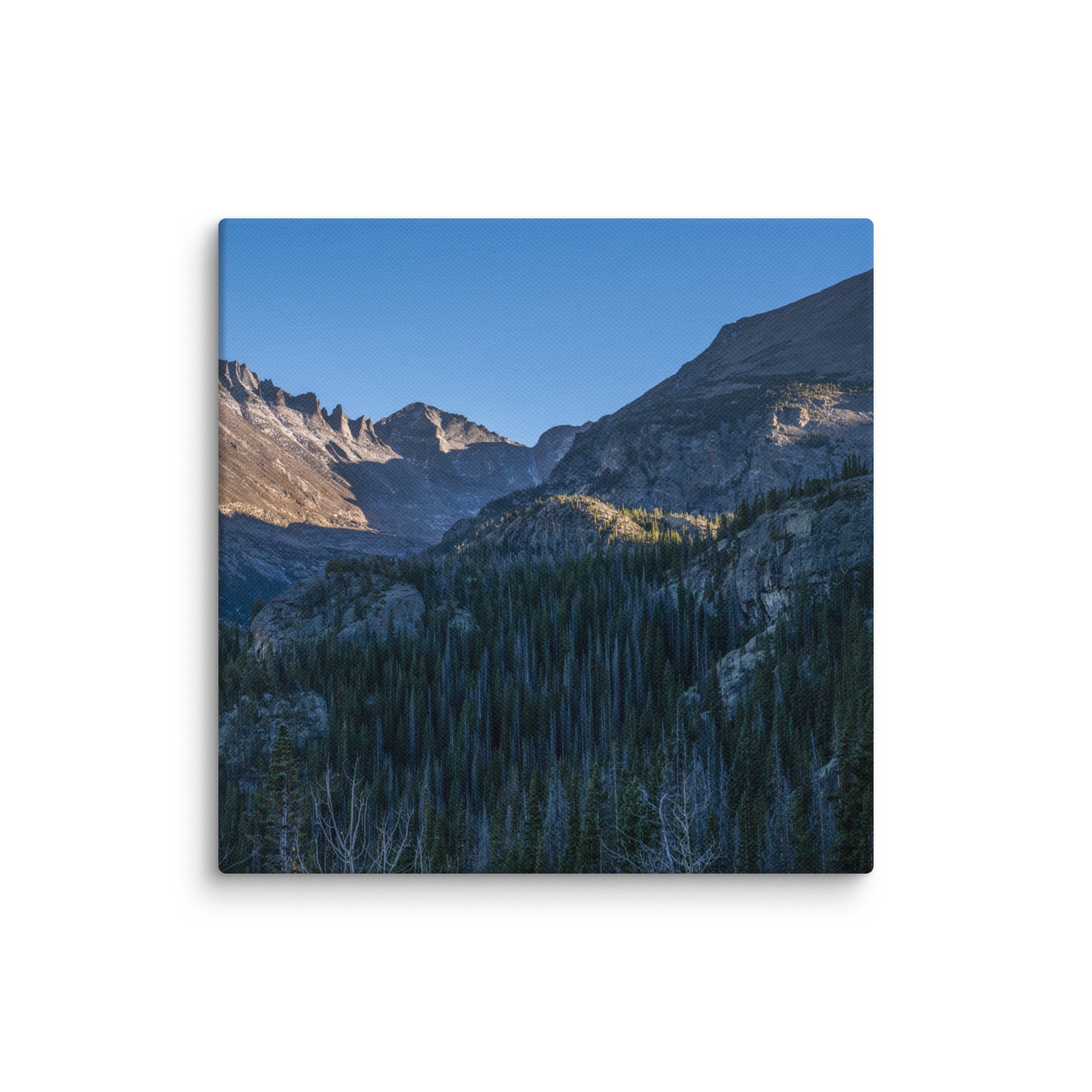 canvas-(in)-8x8-wall-6786d7c4b09ad.jpg