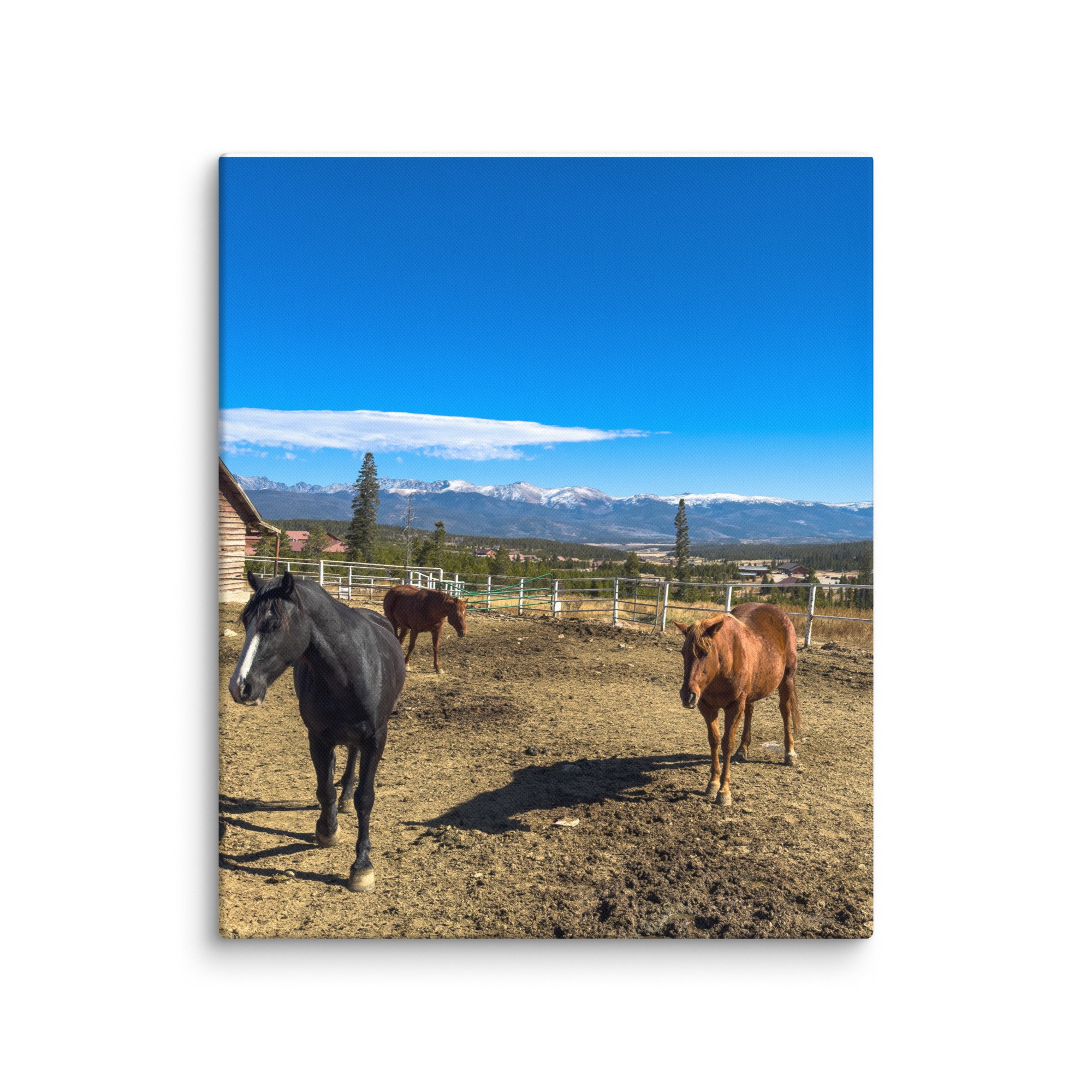 canvas-(in)-20x24-wall-6786dbc81d64d.jpg