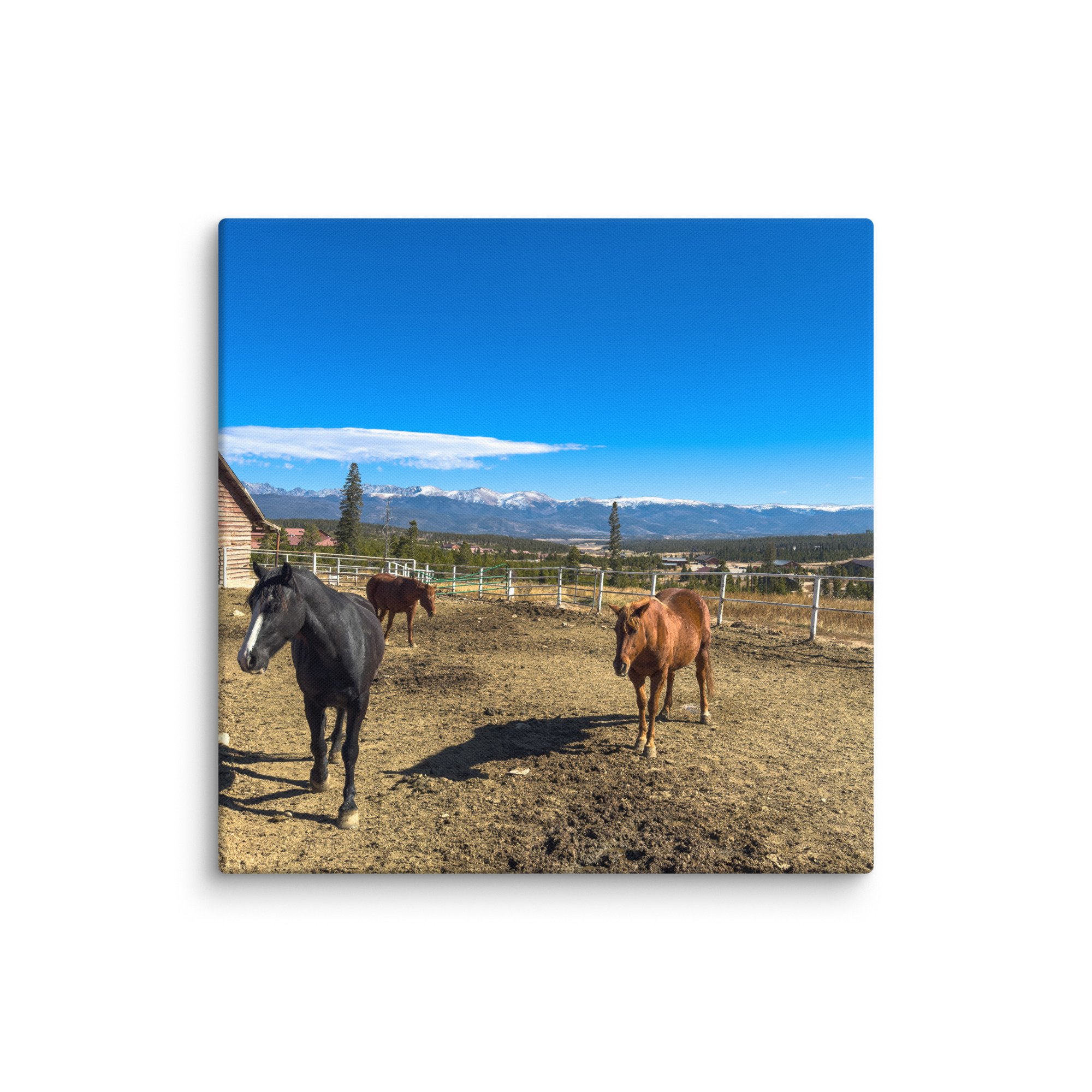 canvas-(in)-30x30-wall-6786dbc81d7eb.jpg