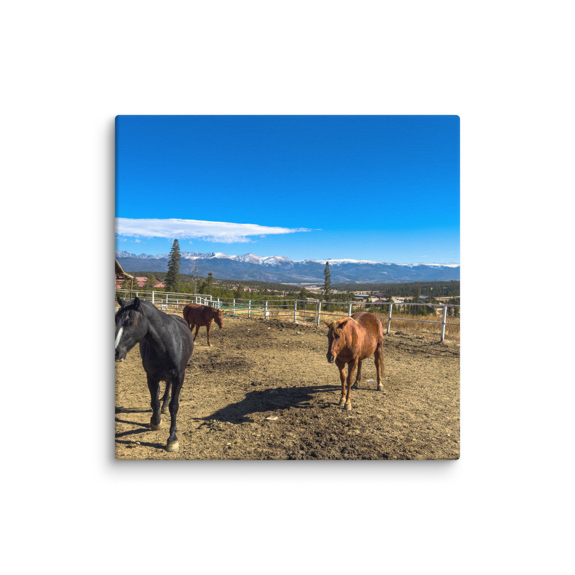 canvas-(in)-12x12-wall-6786dbc81da49.jpg