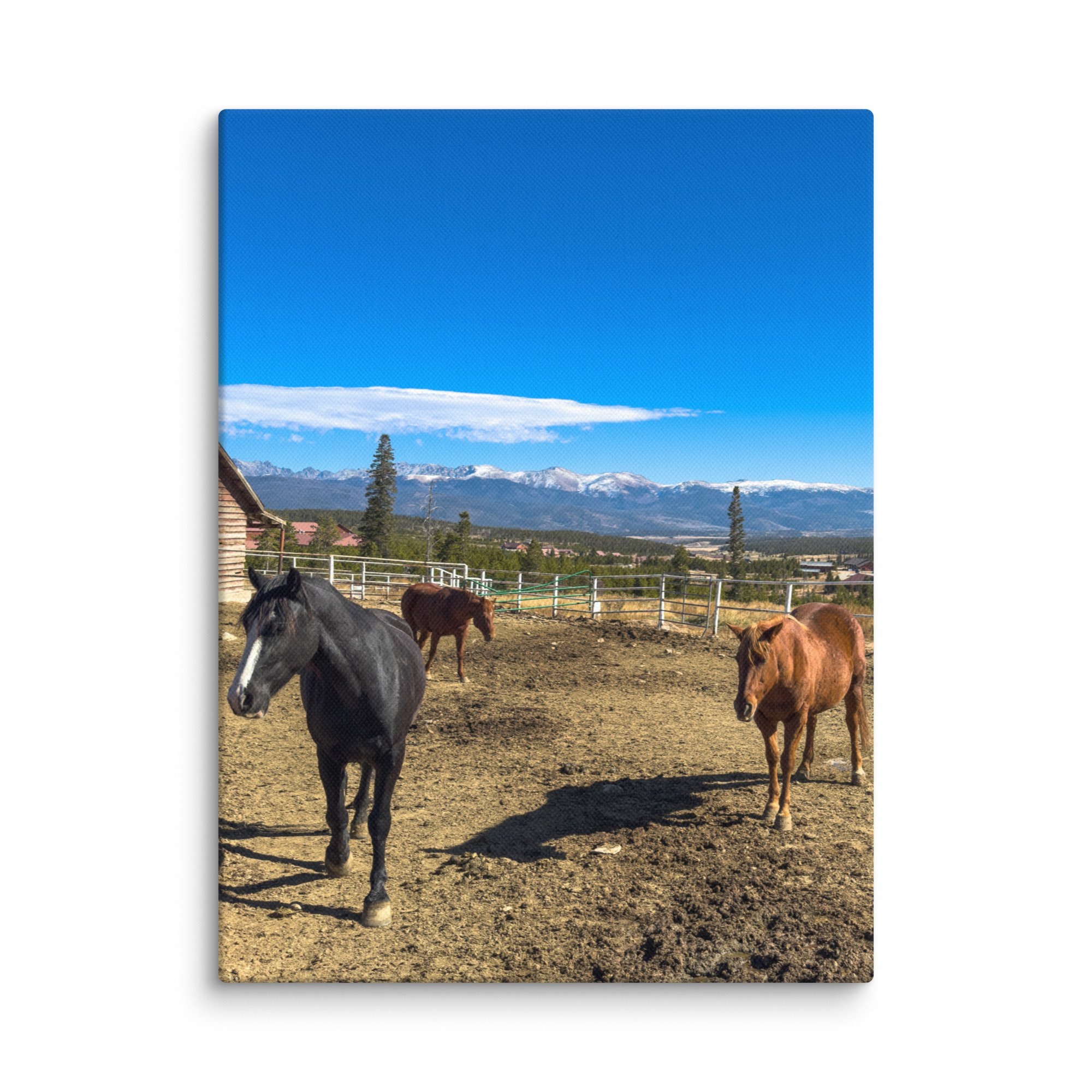 canvas-(in)-12x16-wall-6786dbc81dac4.jpg