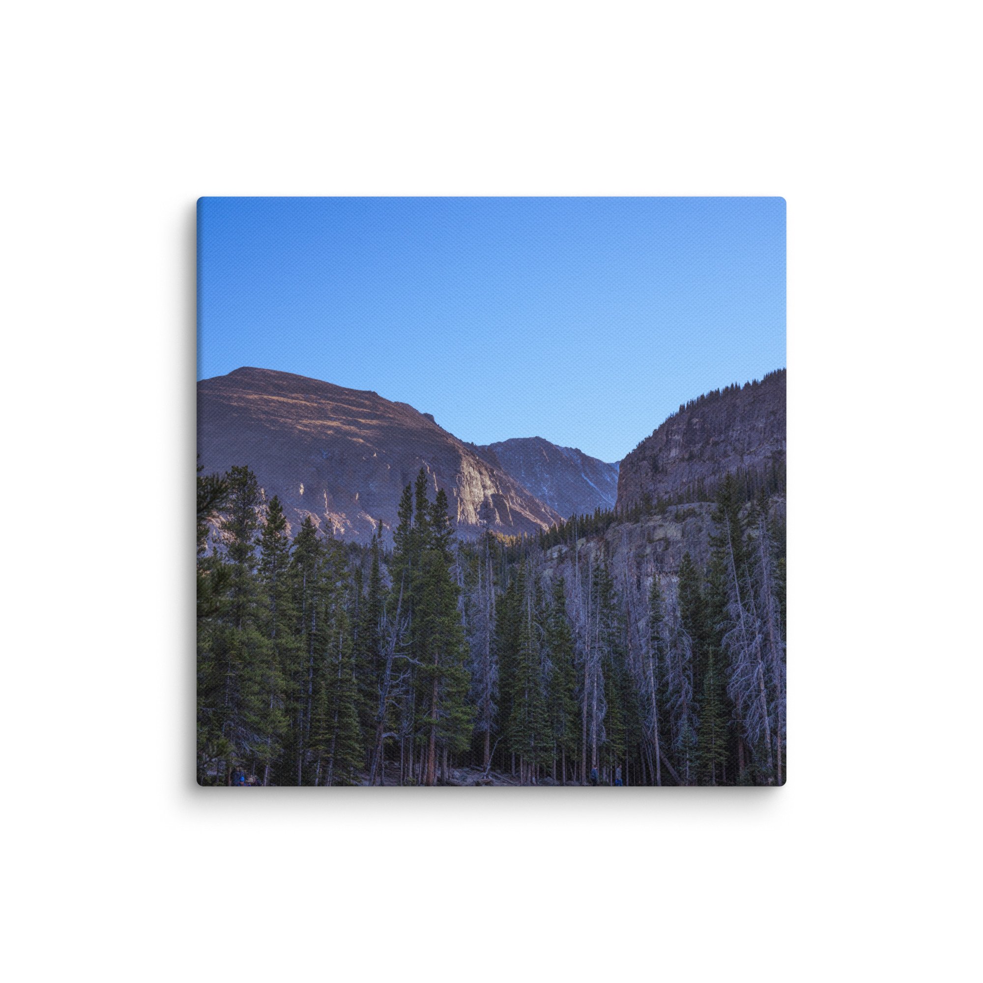 canvas-(in)-10x10-wall-6786df53b48e1.jpg